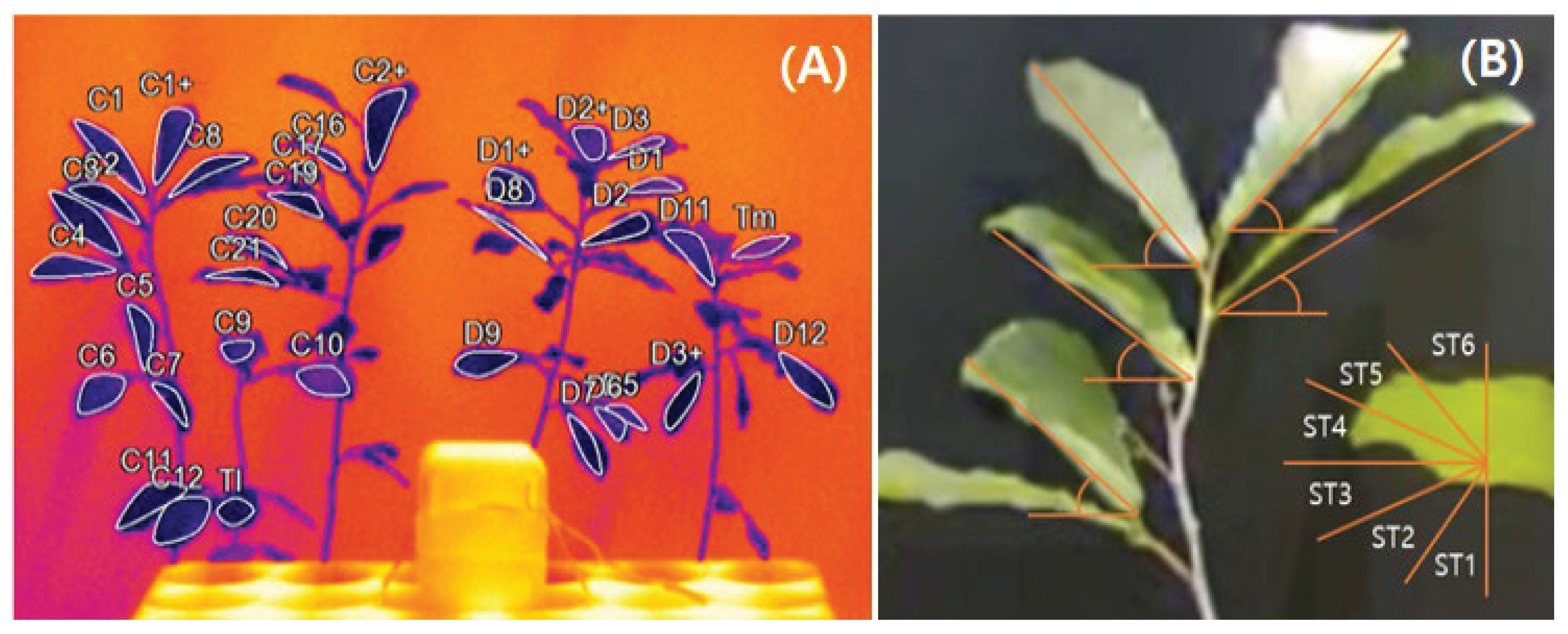 Preprints 193929 g006