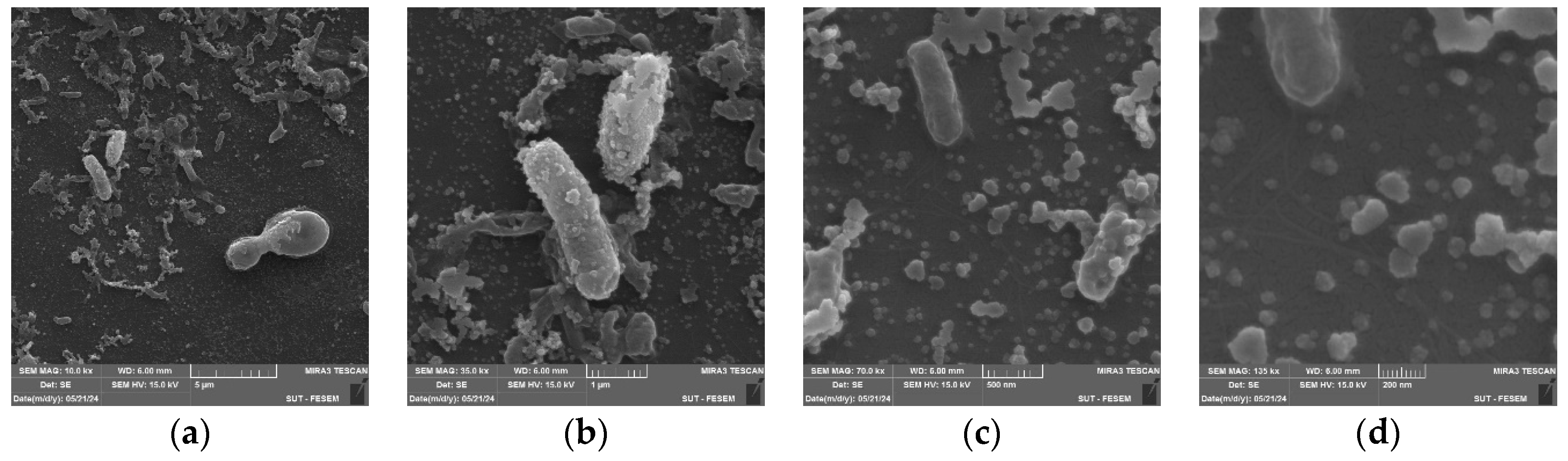 Preprints 165105 g004