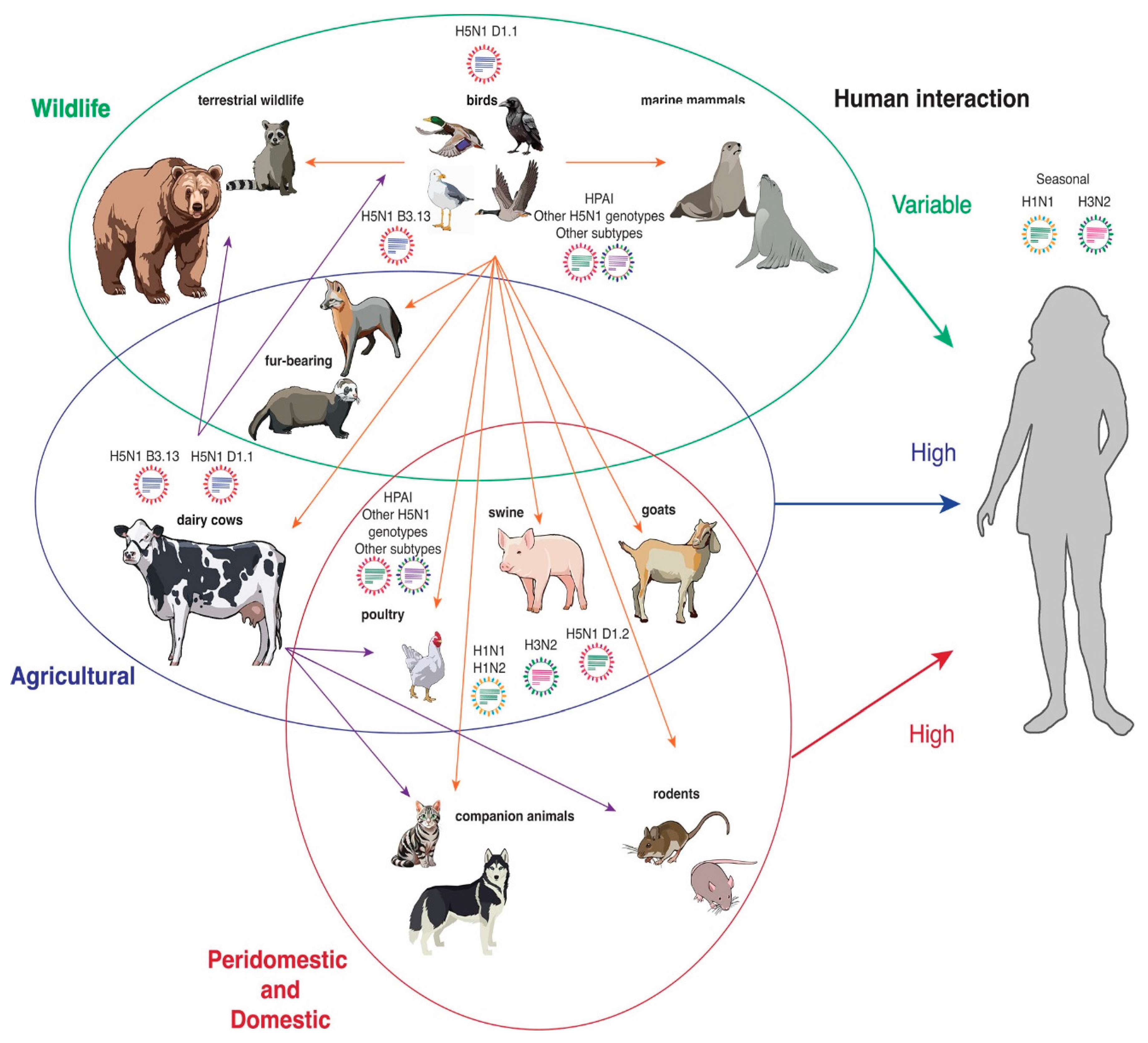 Preprints 170599 g001