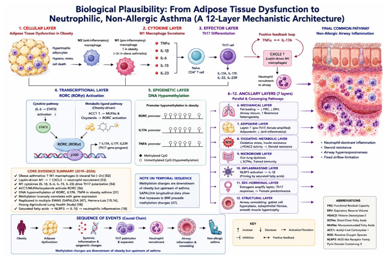 Preprints 217004 g001