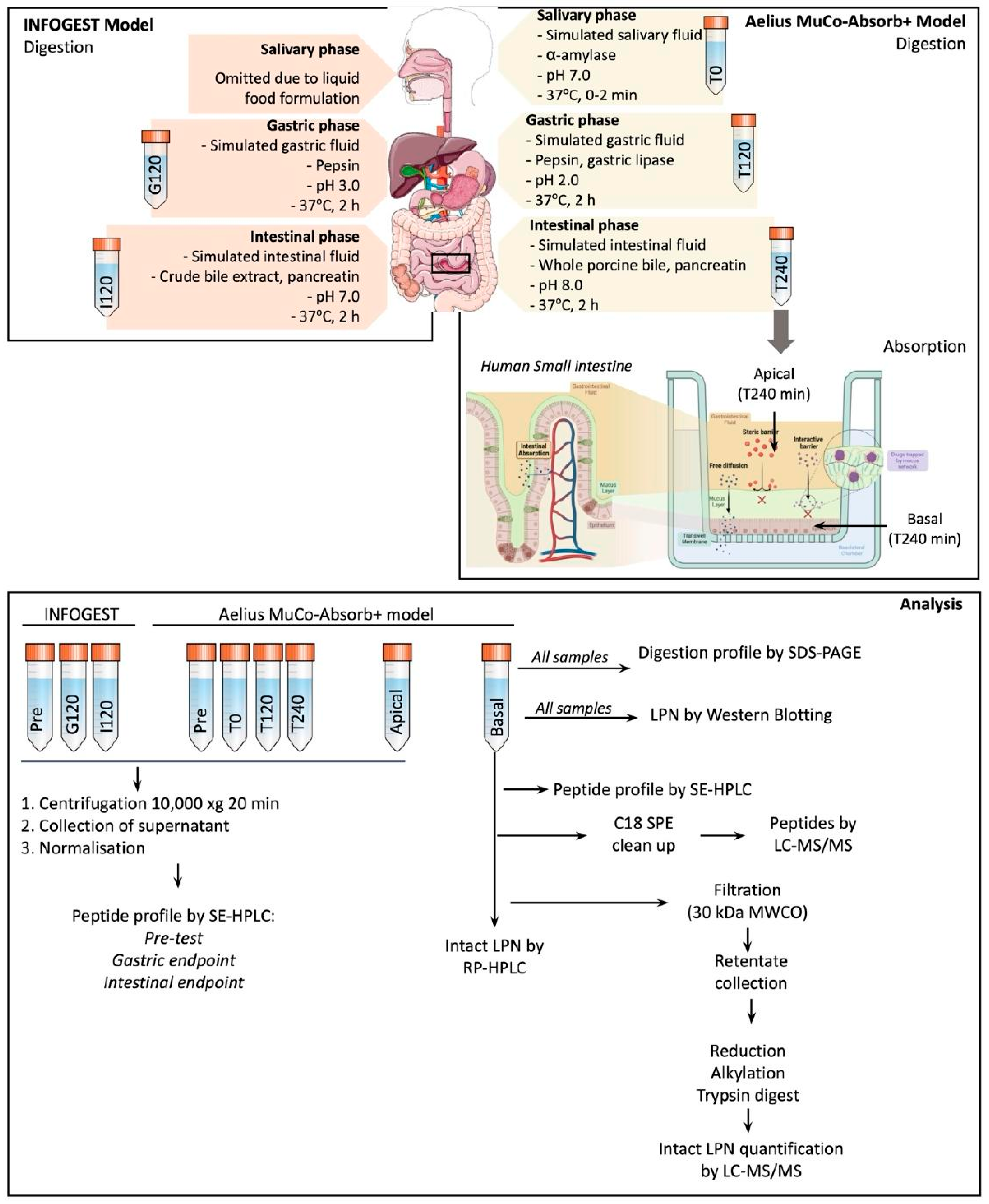 Preprints 223049 g001 Preprints 223049 g001