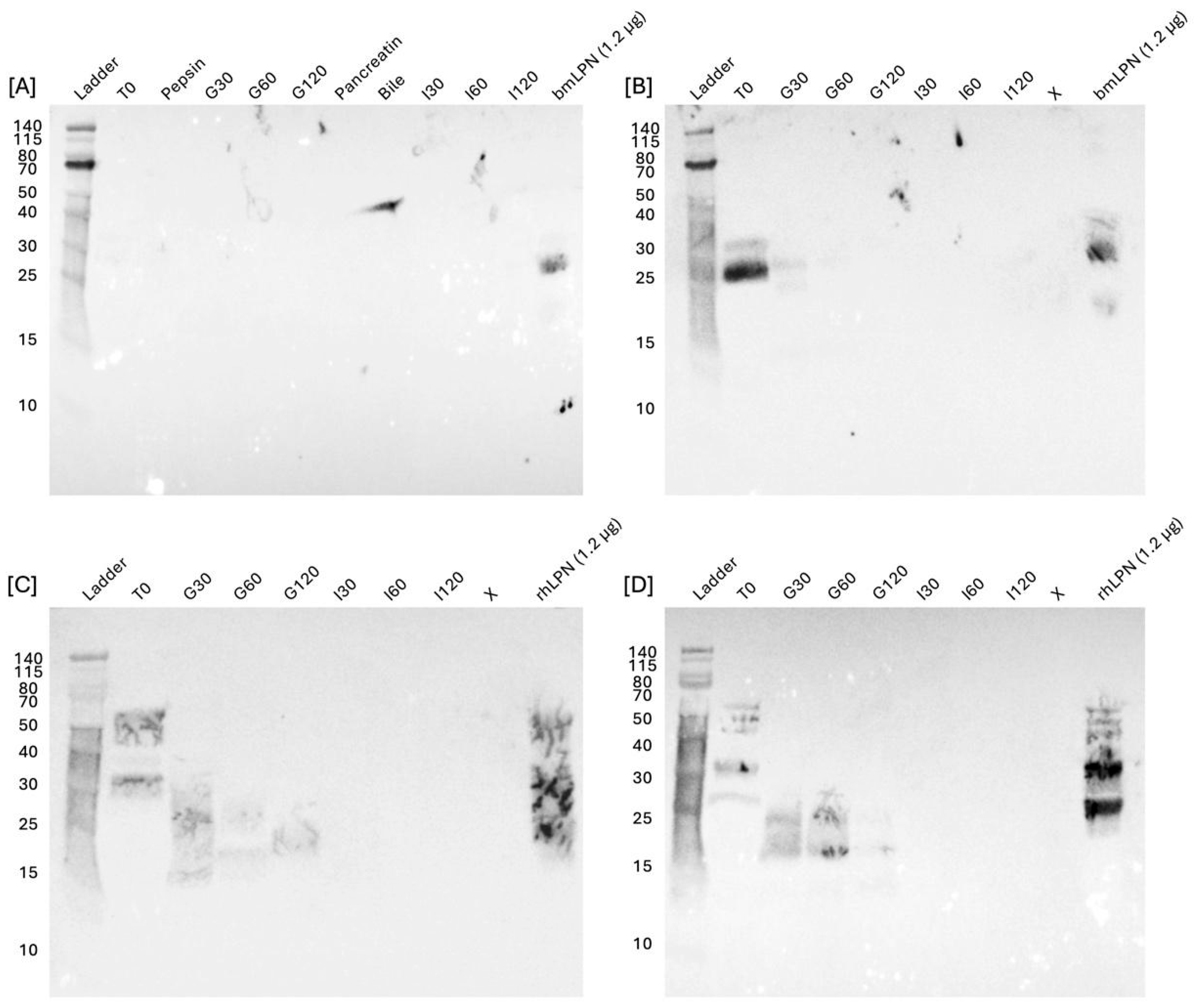 Preprints 223049 g002 Preprints 223049 g002