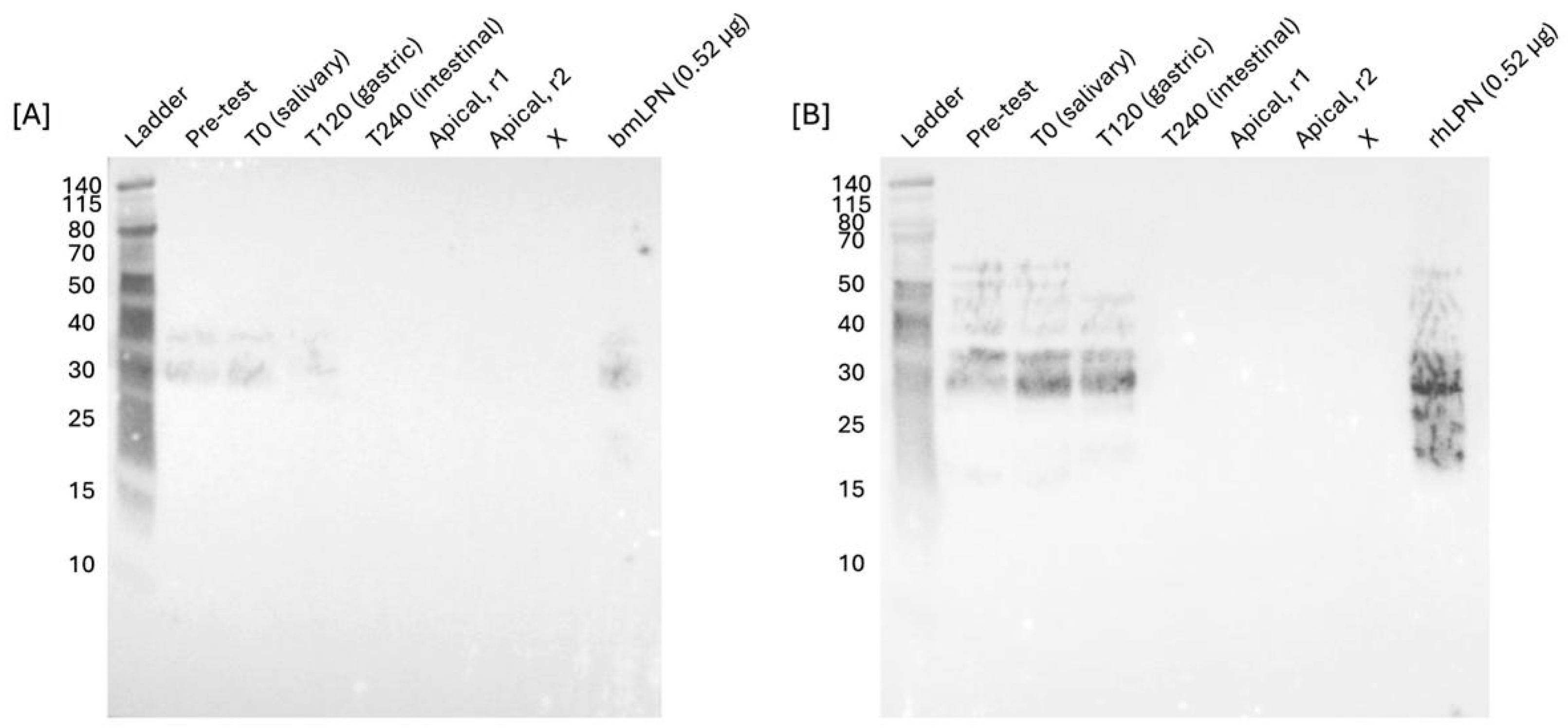 Preprints 223049 g003 Preprints 223049 g003