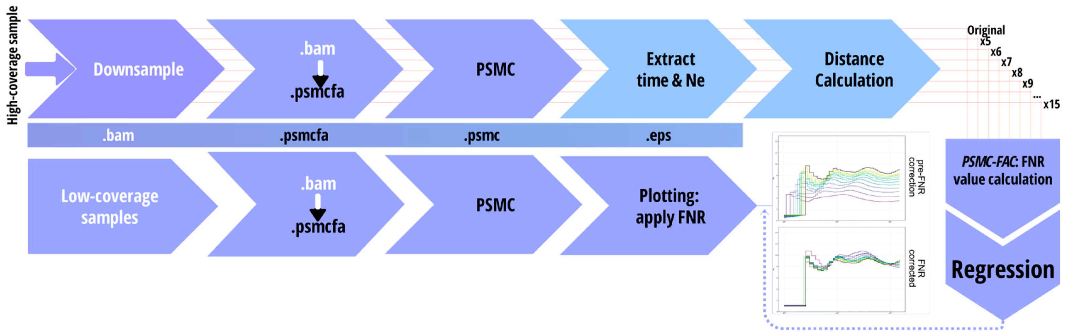 Preprints 201853 g001