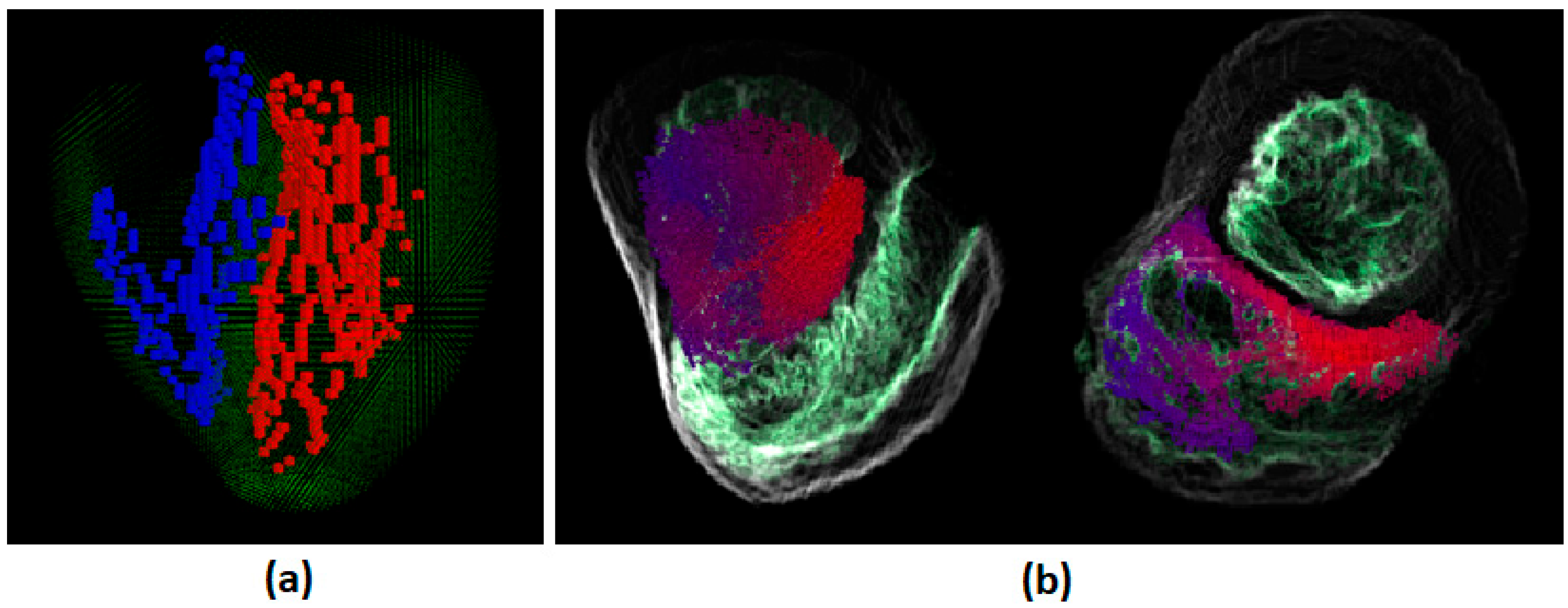 Preprints 162959 g002