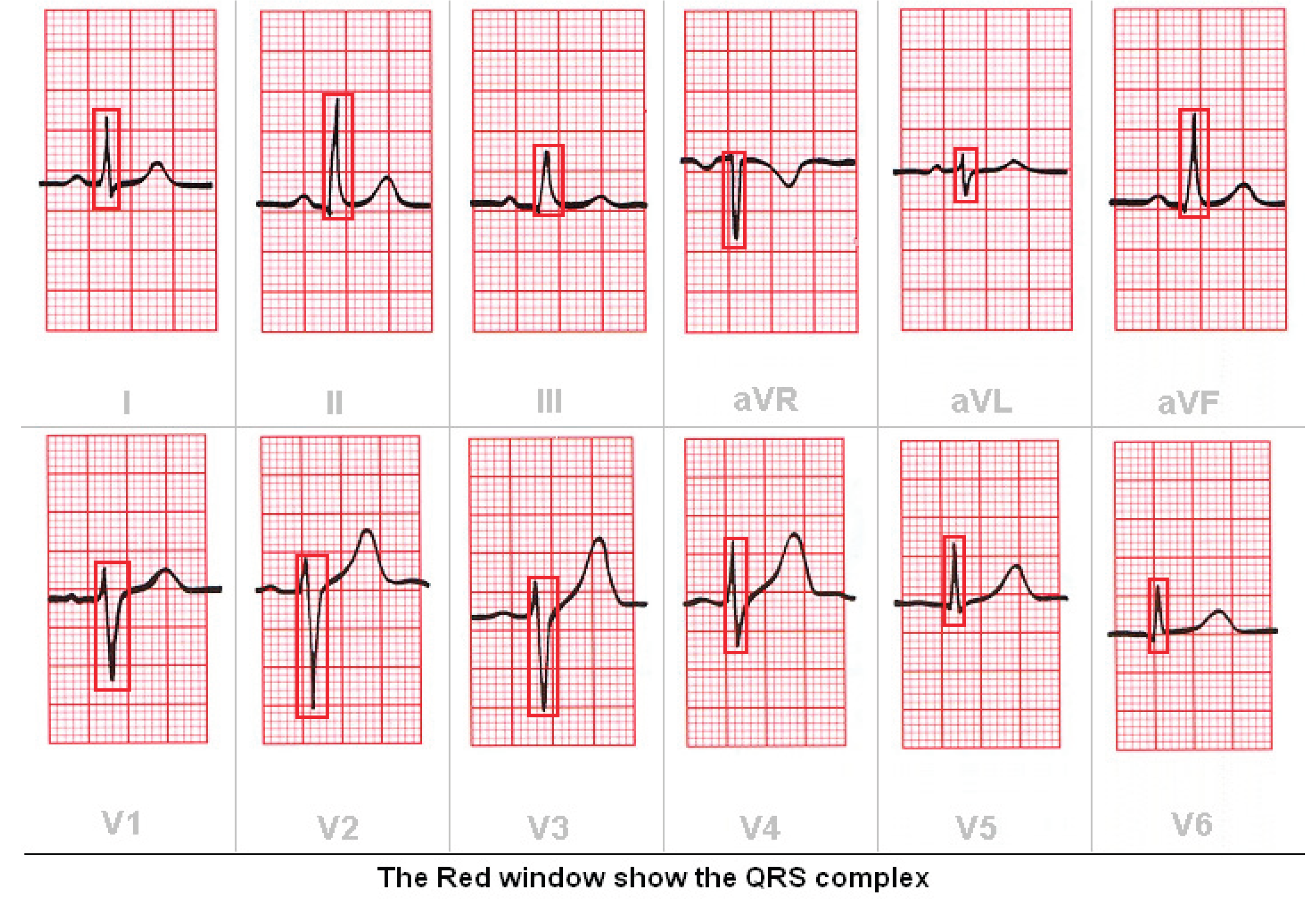 Preprints 162959 g009
