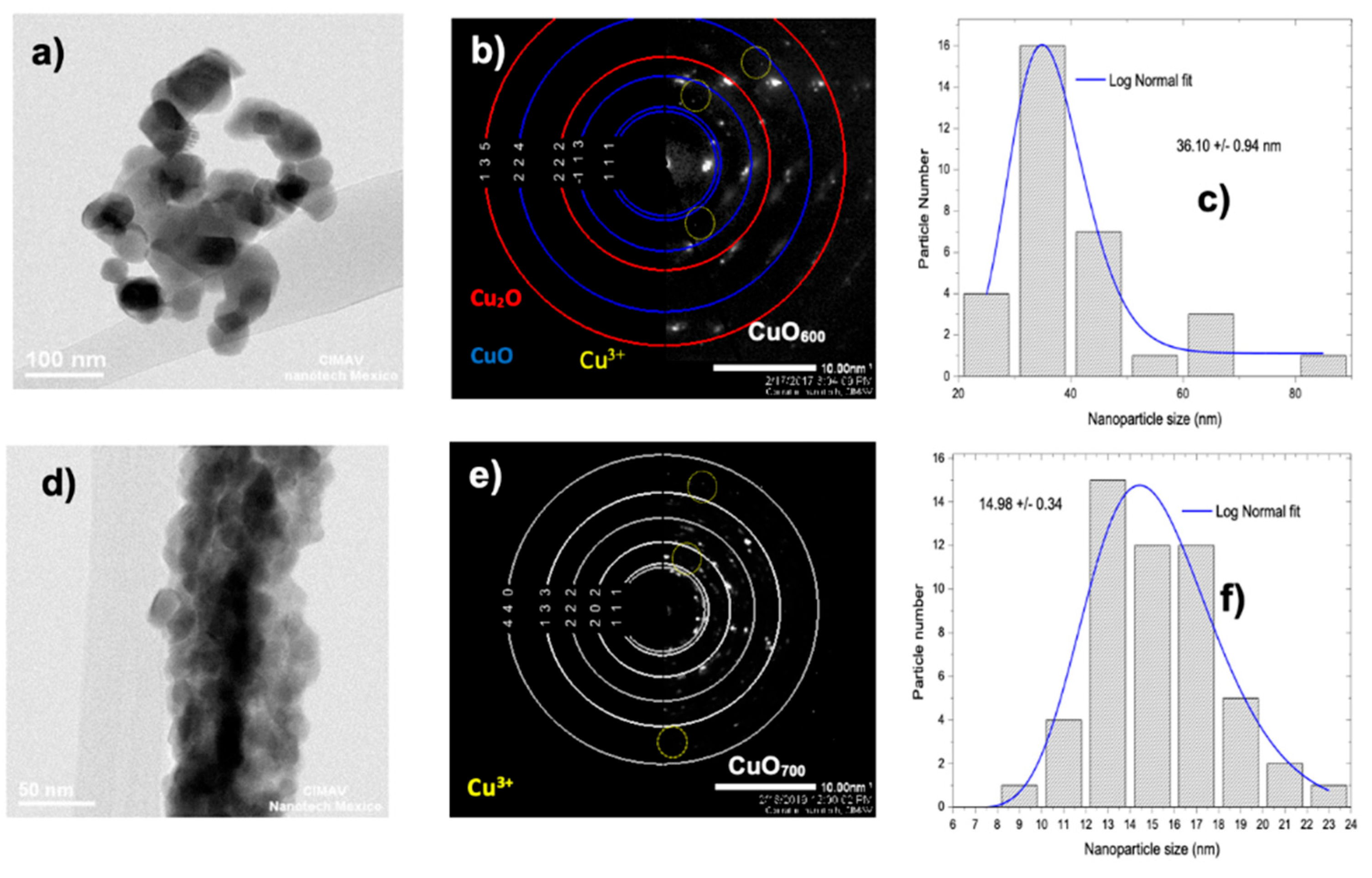 Preprints 209278 g003