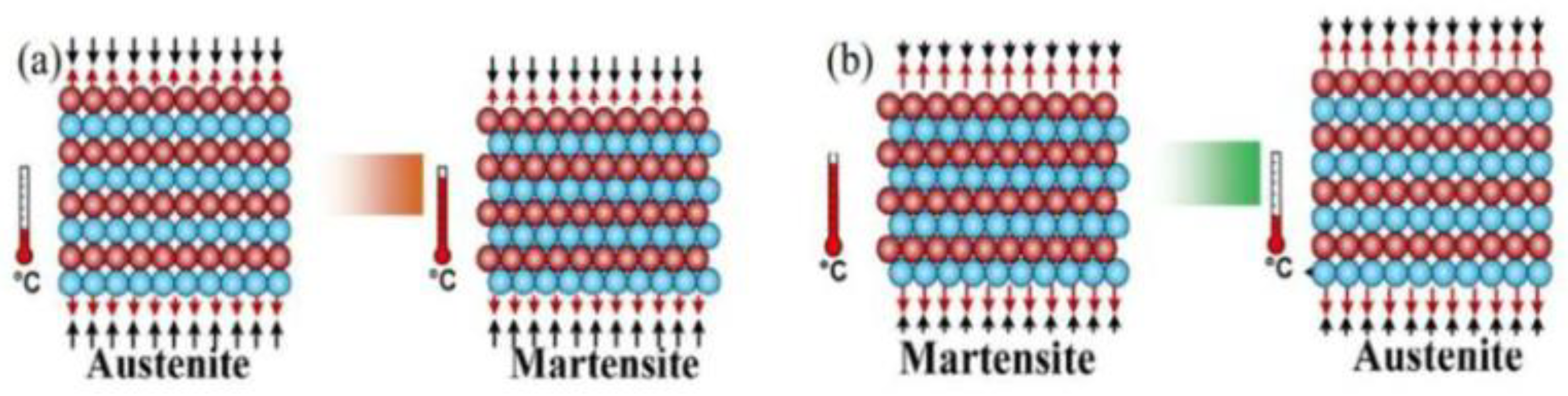 Preprints 195393 g001
