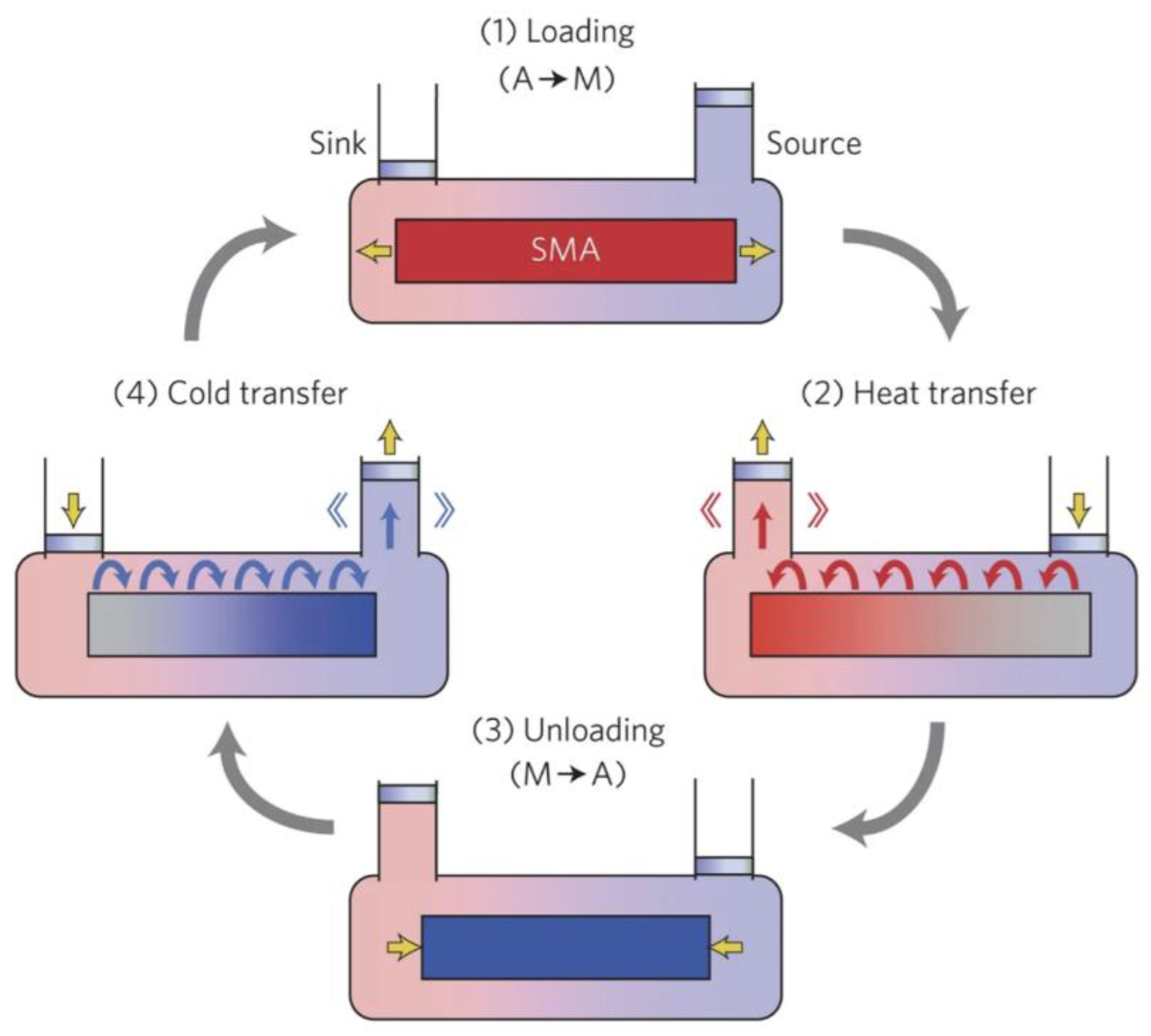 Preprints 195393 g002