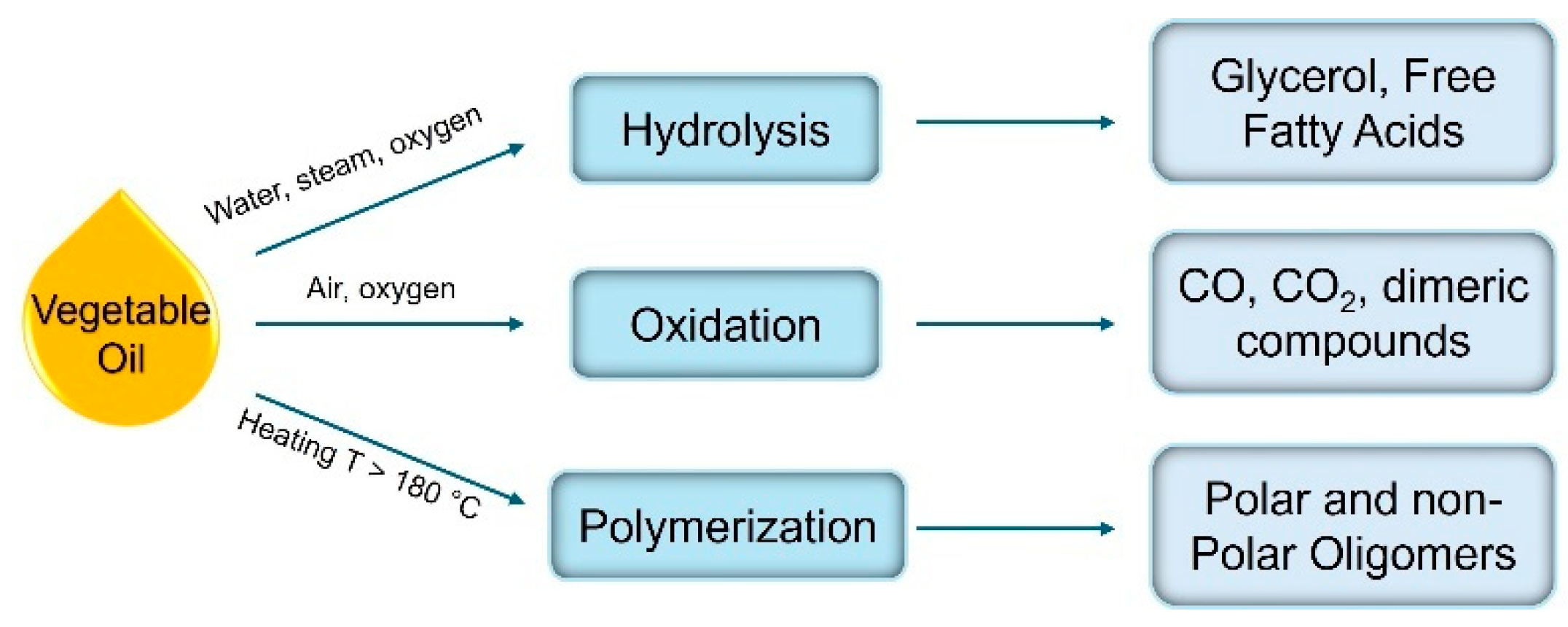 Preprints 145845 g003