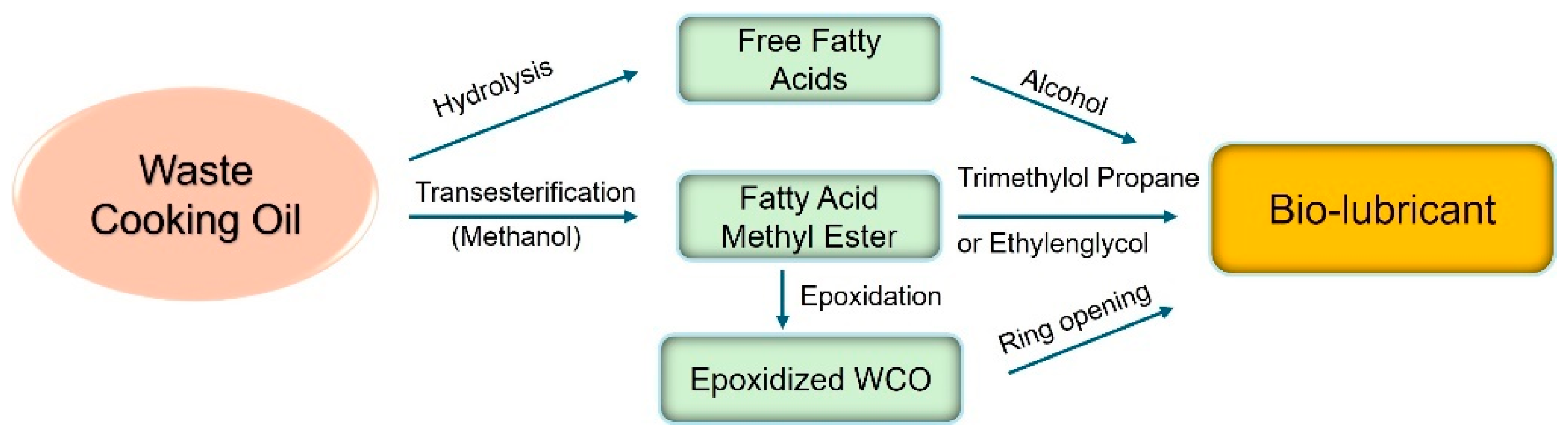 Preprints 145845 g004