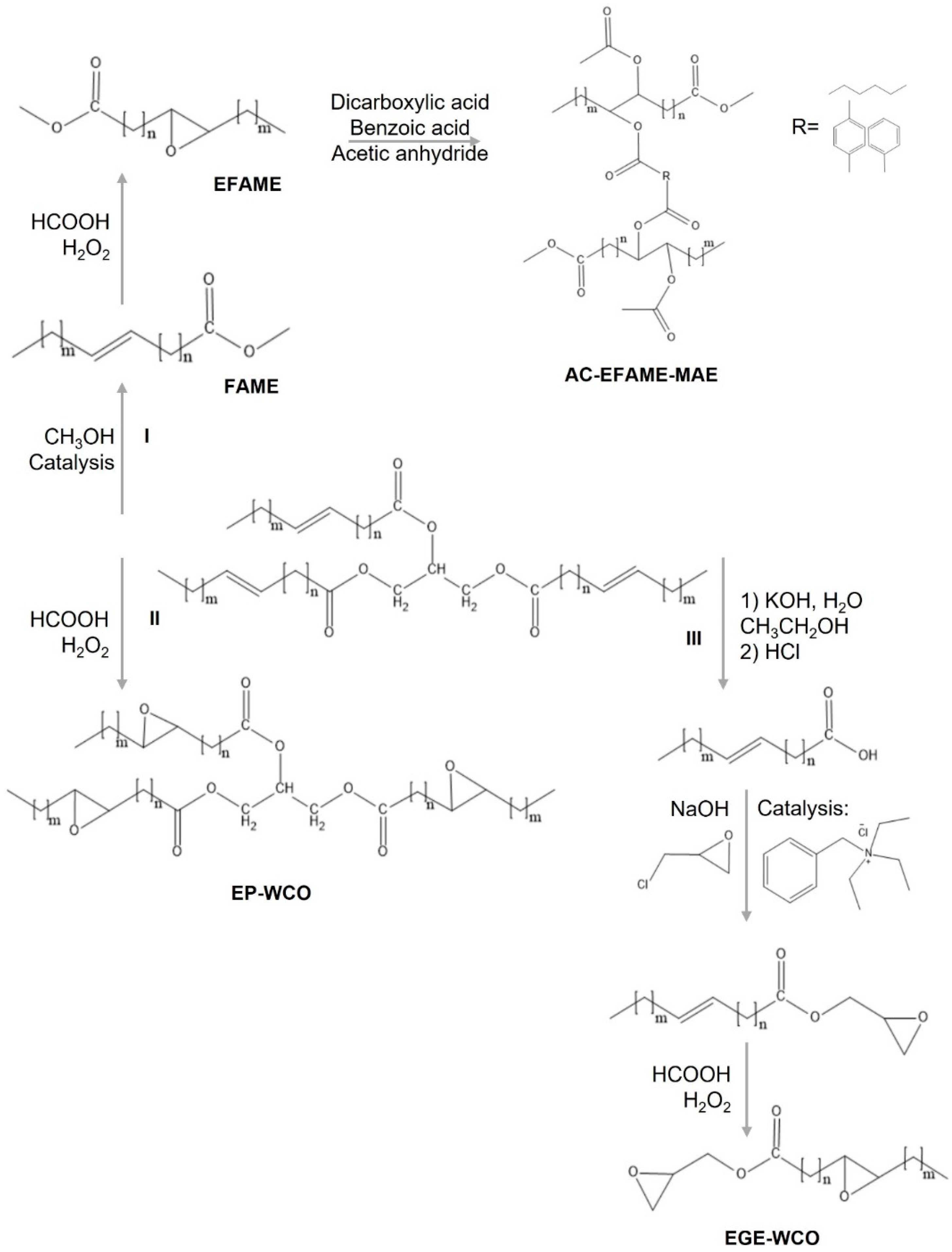 Preprints 145845 g005