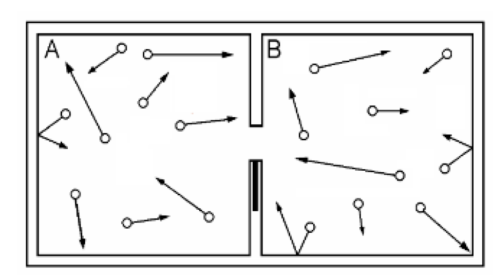 Preprints 180504 g002