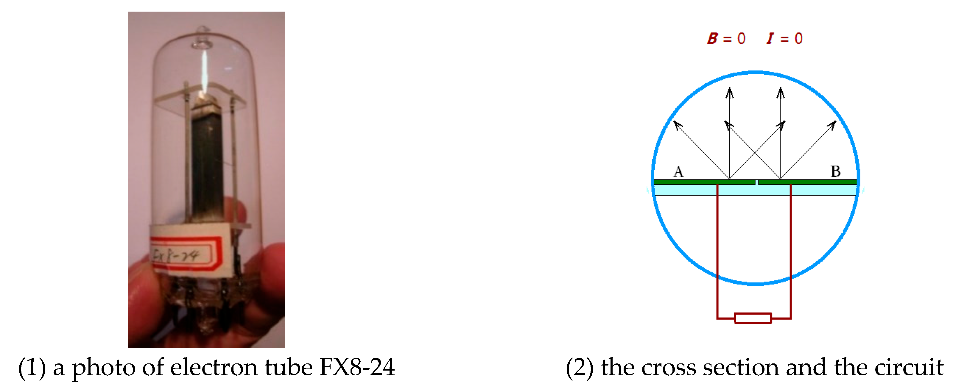Preprints 180504 g005