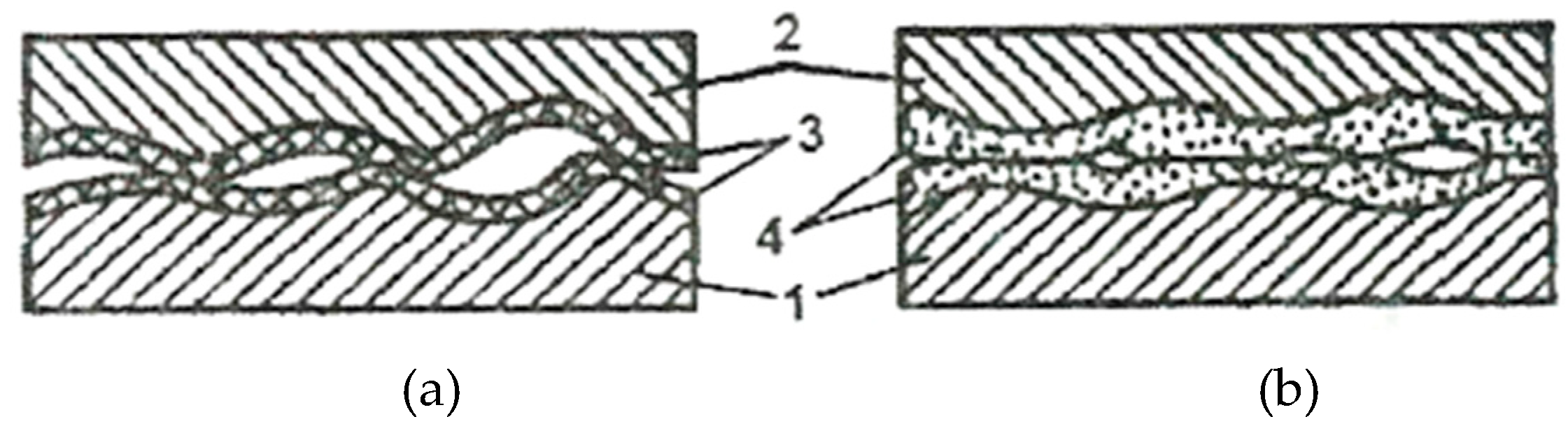 Preprints 142792 g002