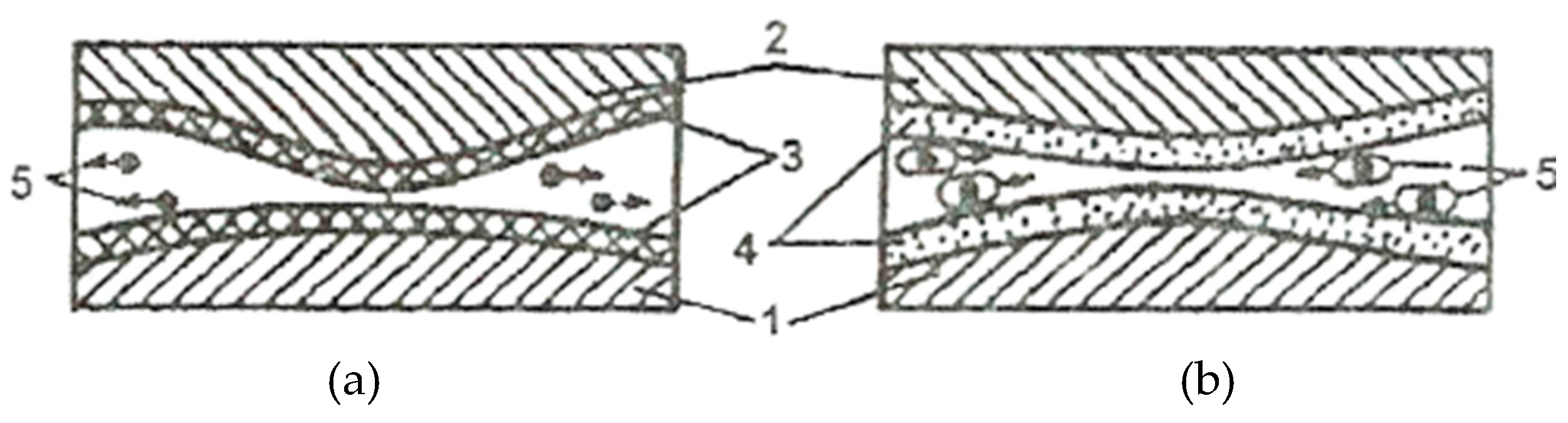 Preprints 142792 g004