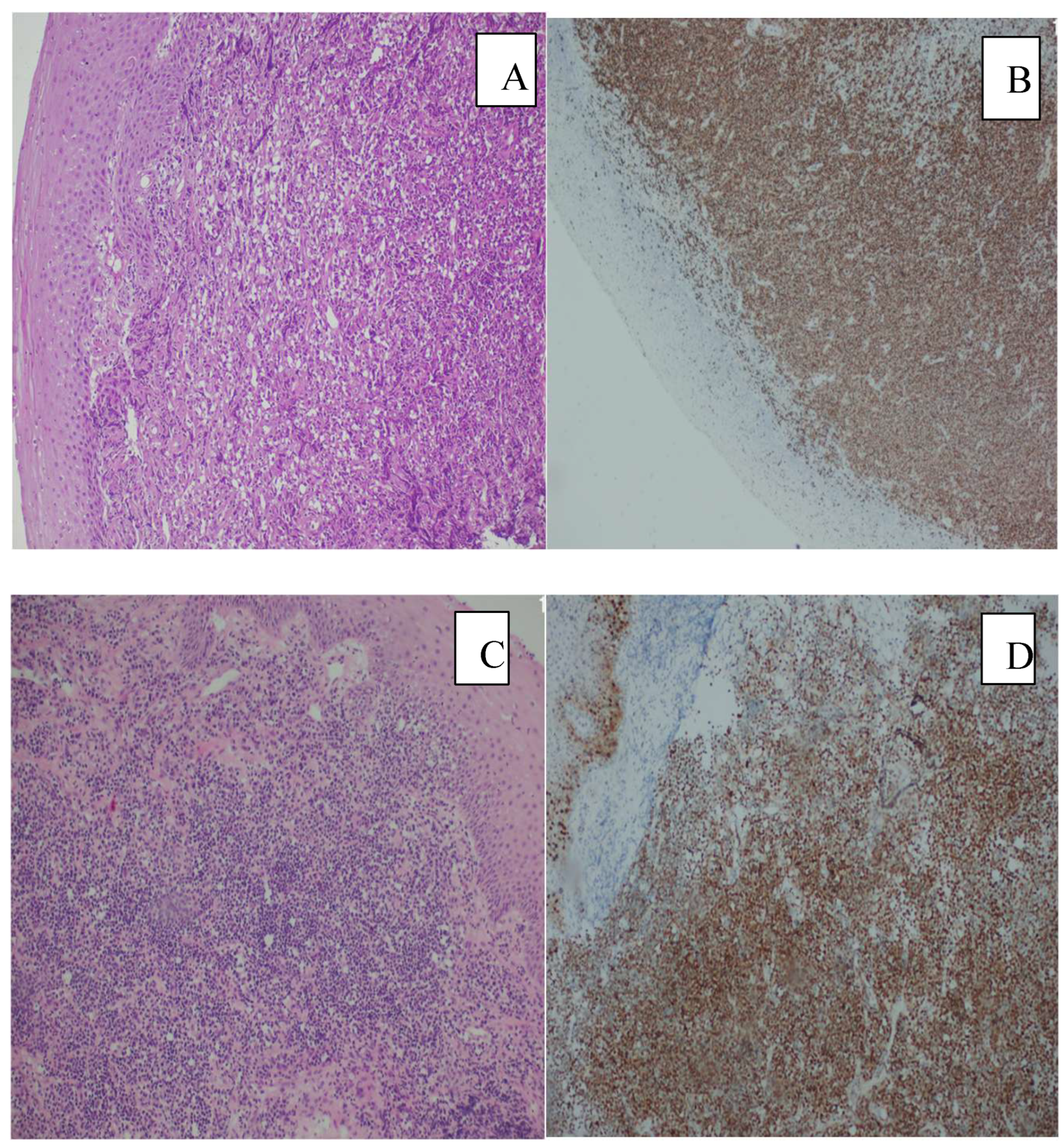 Preprints 200251 g001