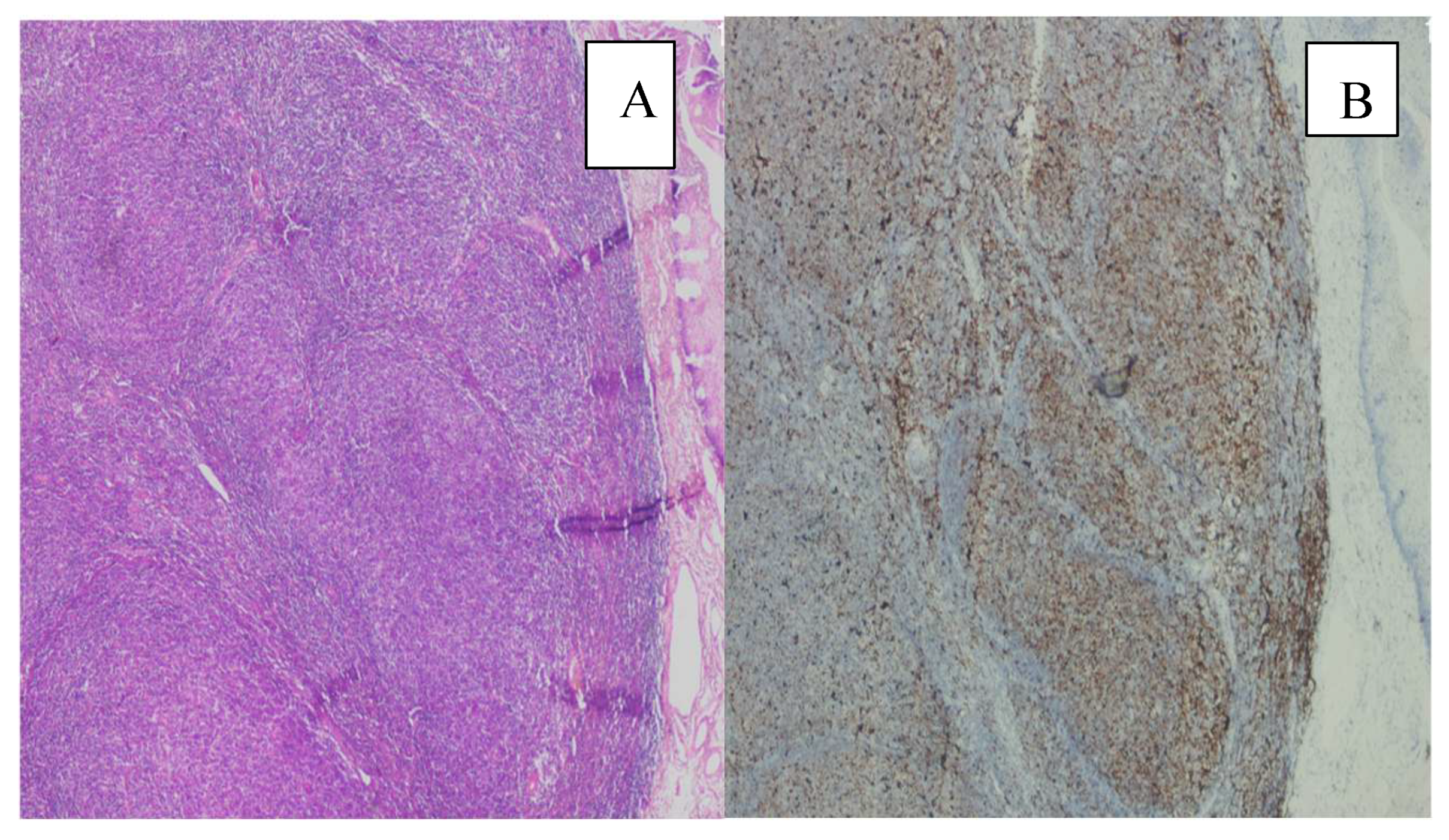 Preprints 200251 g003