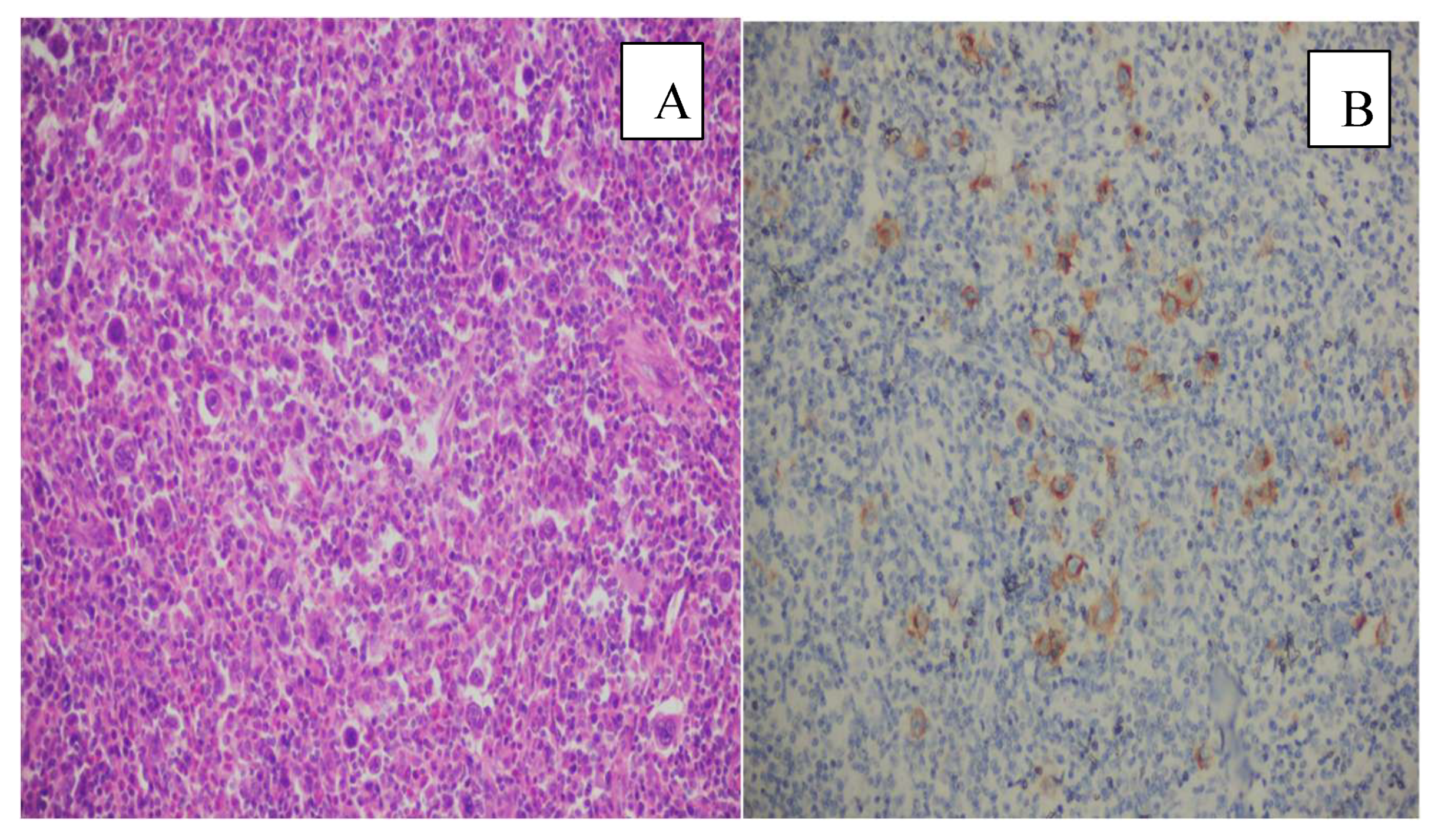 Preprints 200251 g004