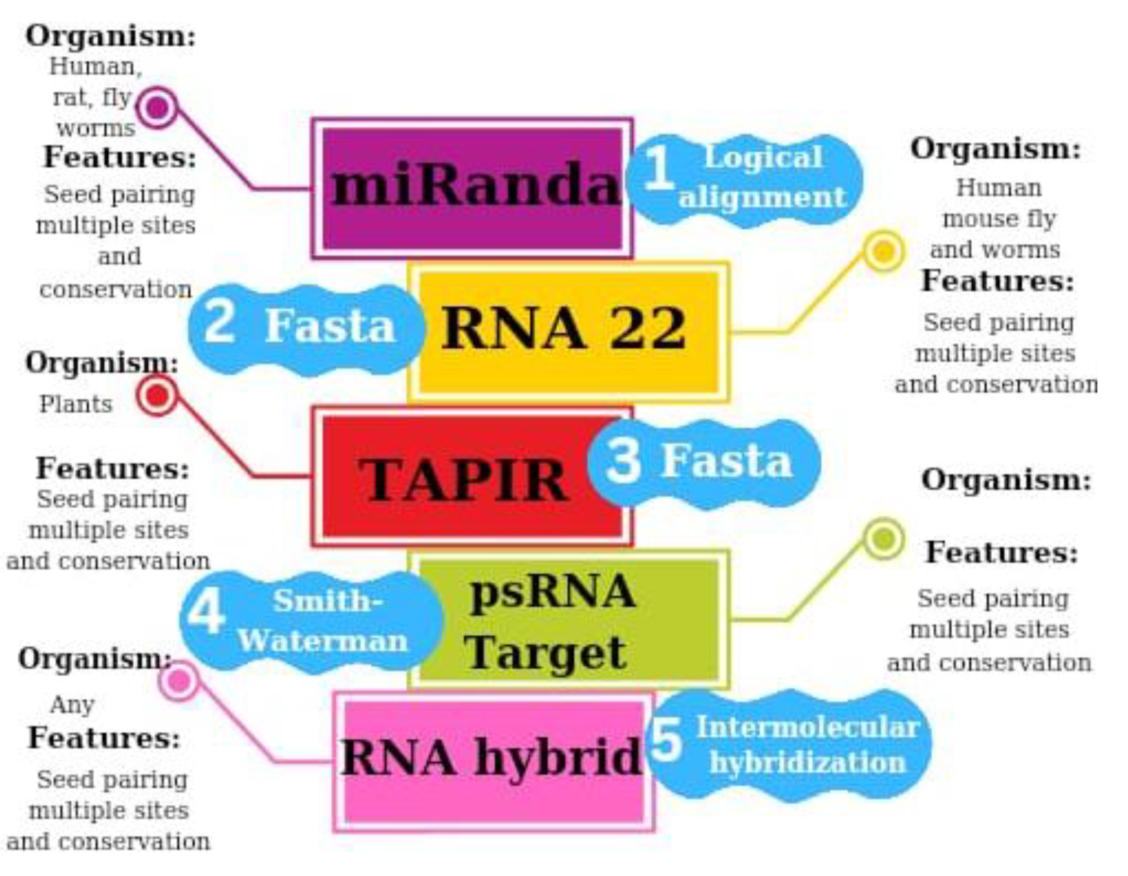 Preprints 192939 g001