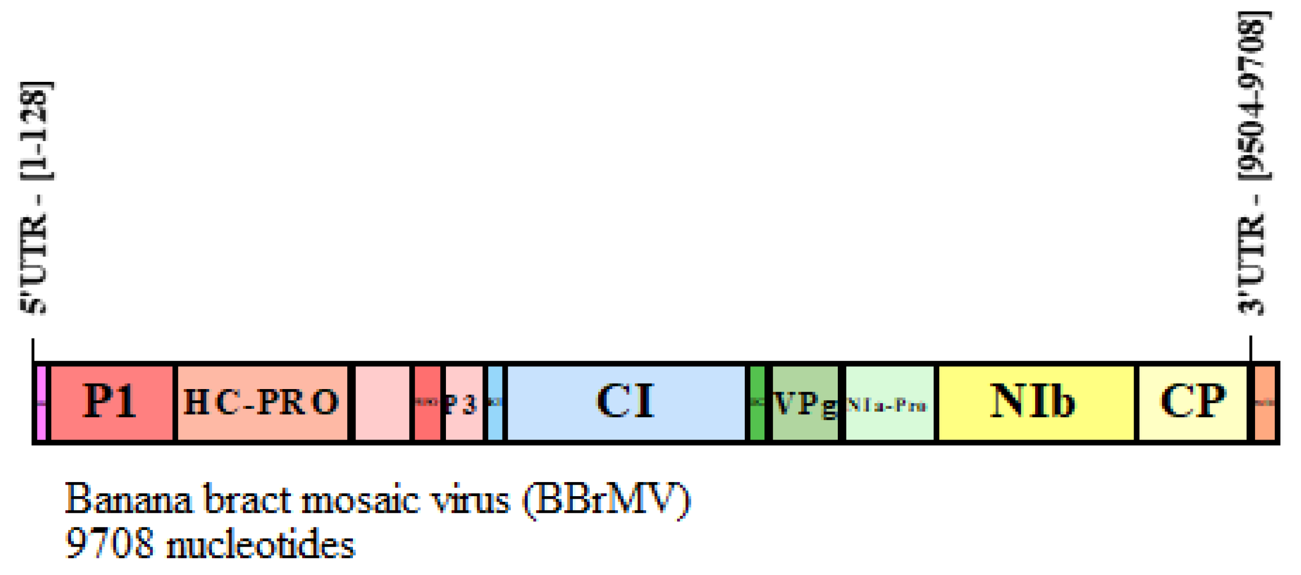 Preprints 192939 g003