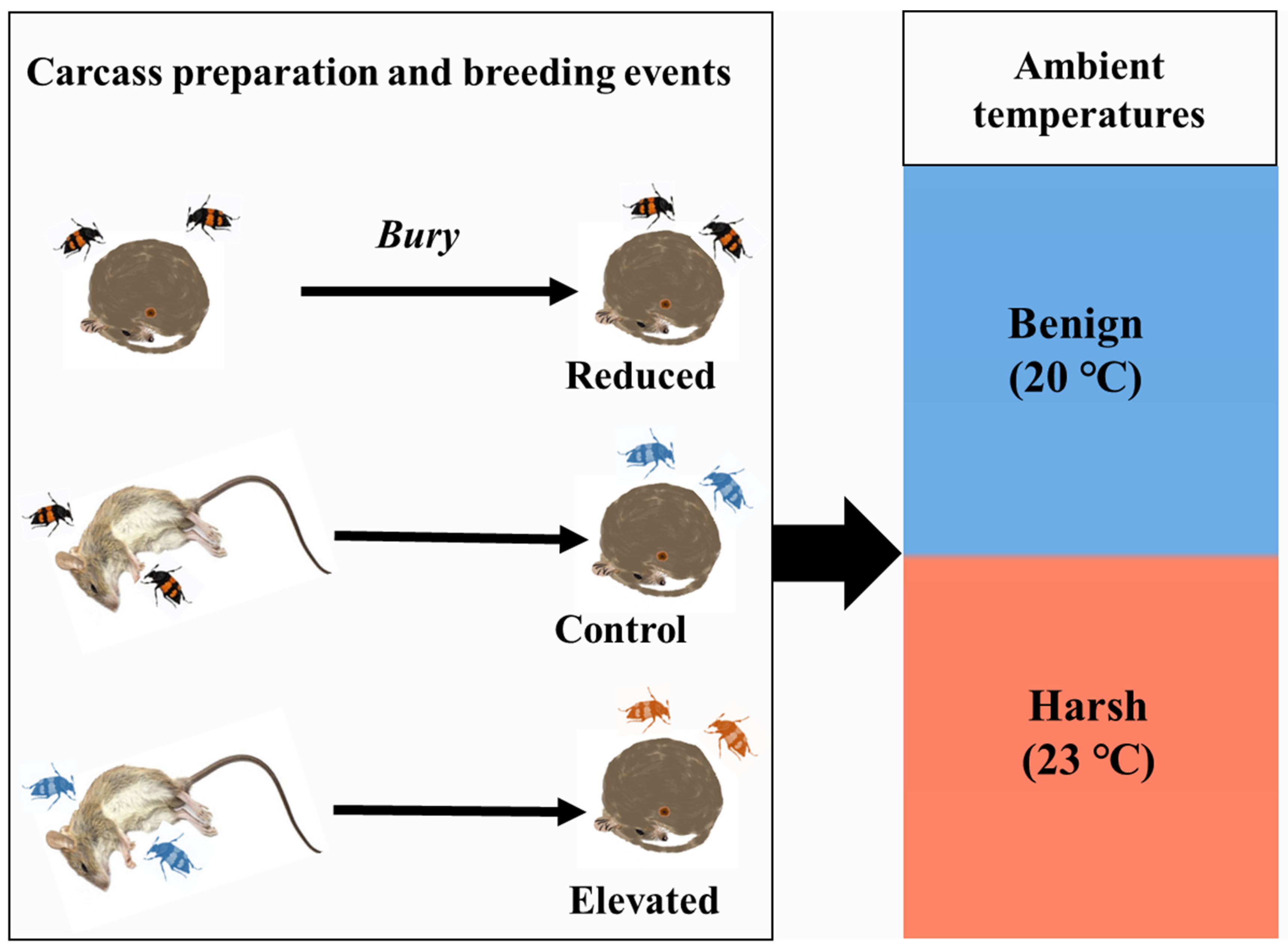Preprints 150861 g001