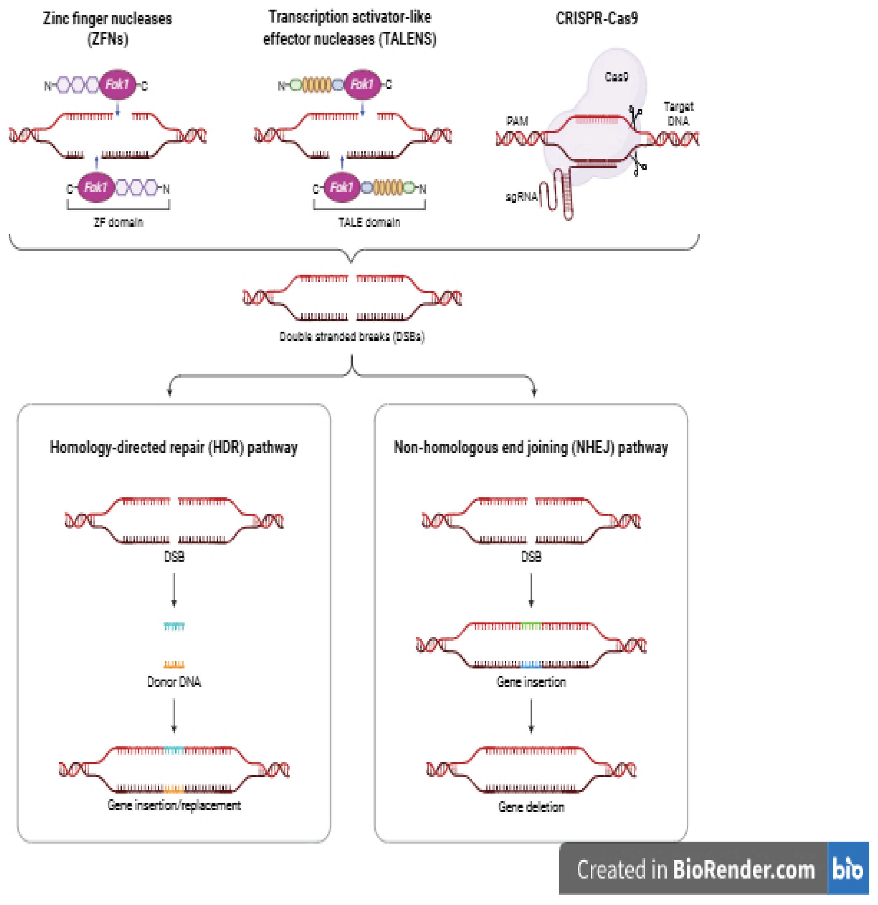 Preprints 196787 g002