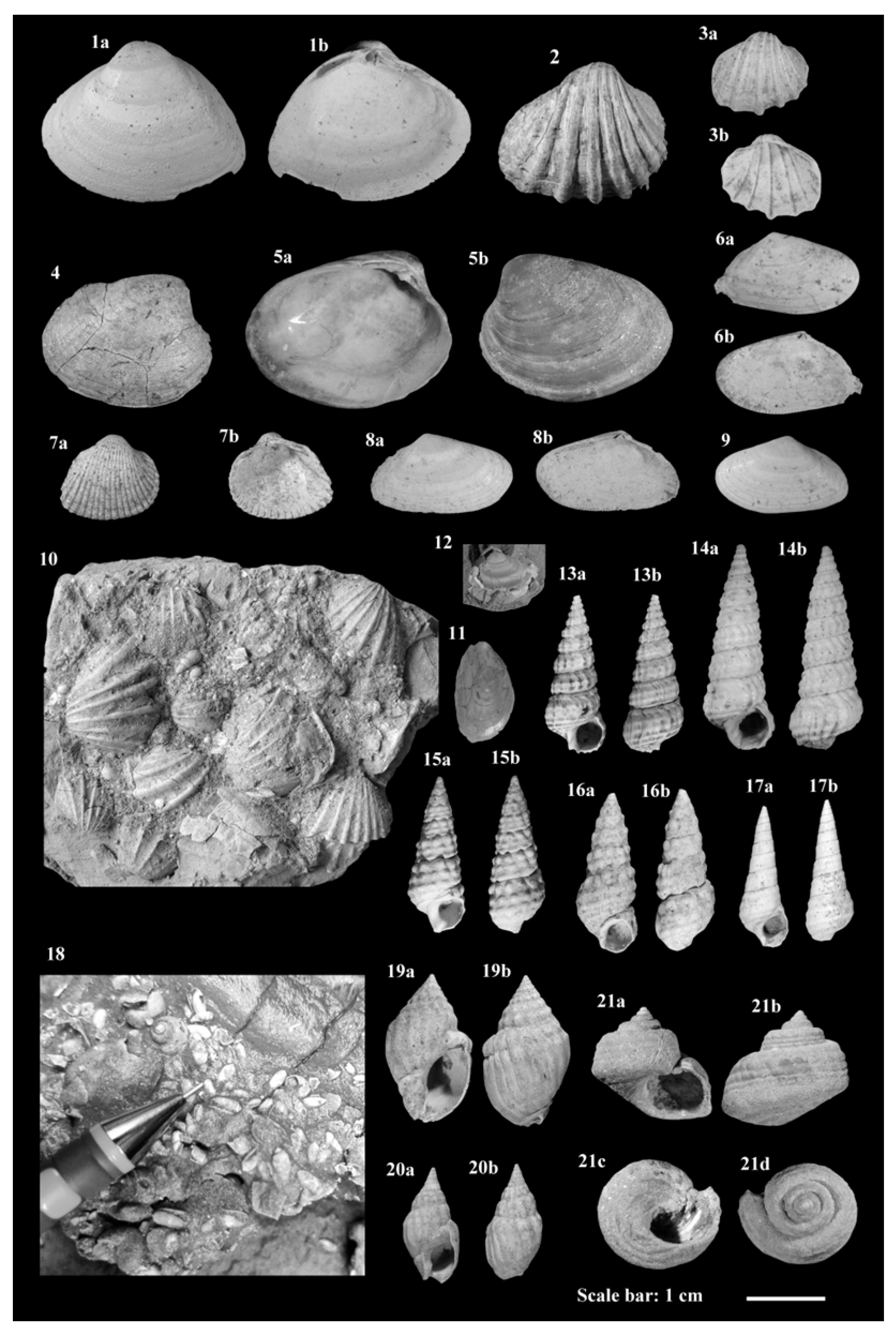 Preprints 173358 g003
