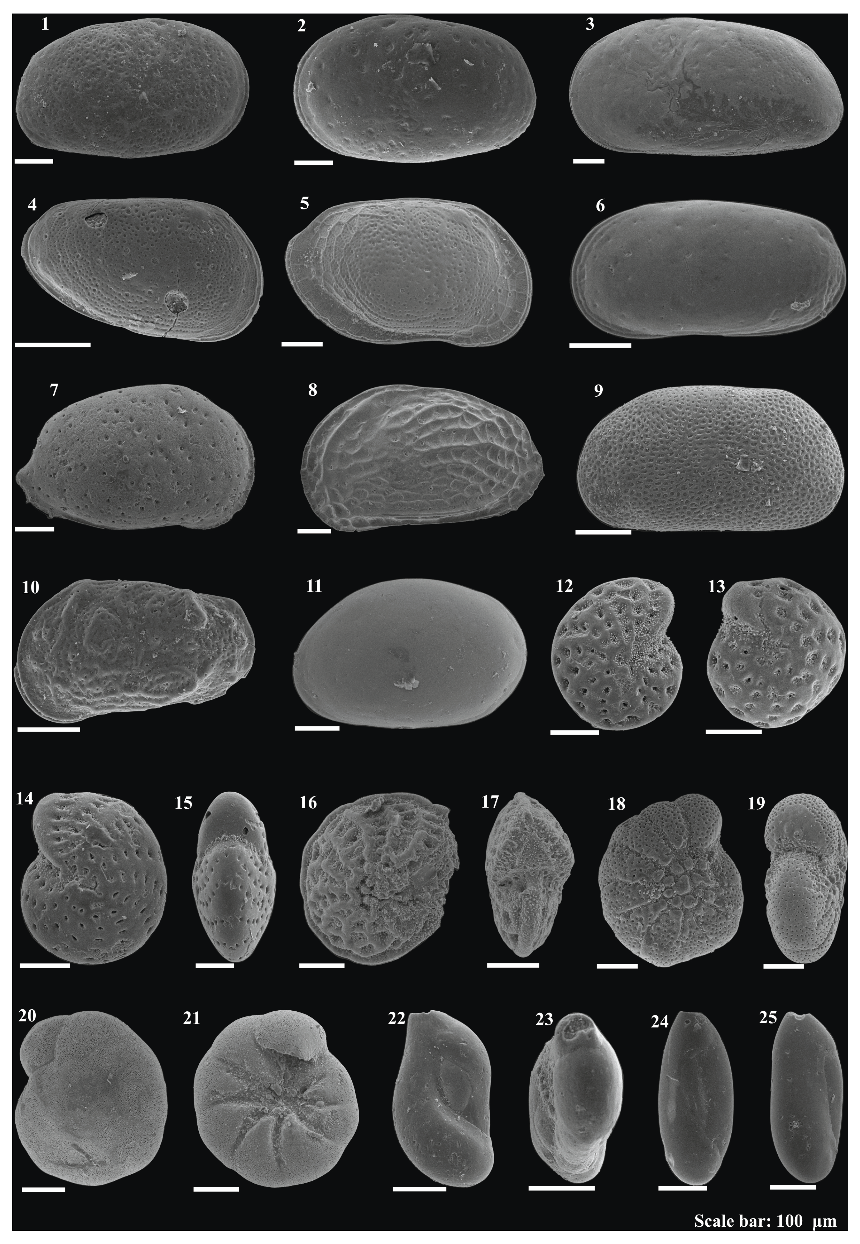 Preprints 173358 g004