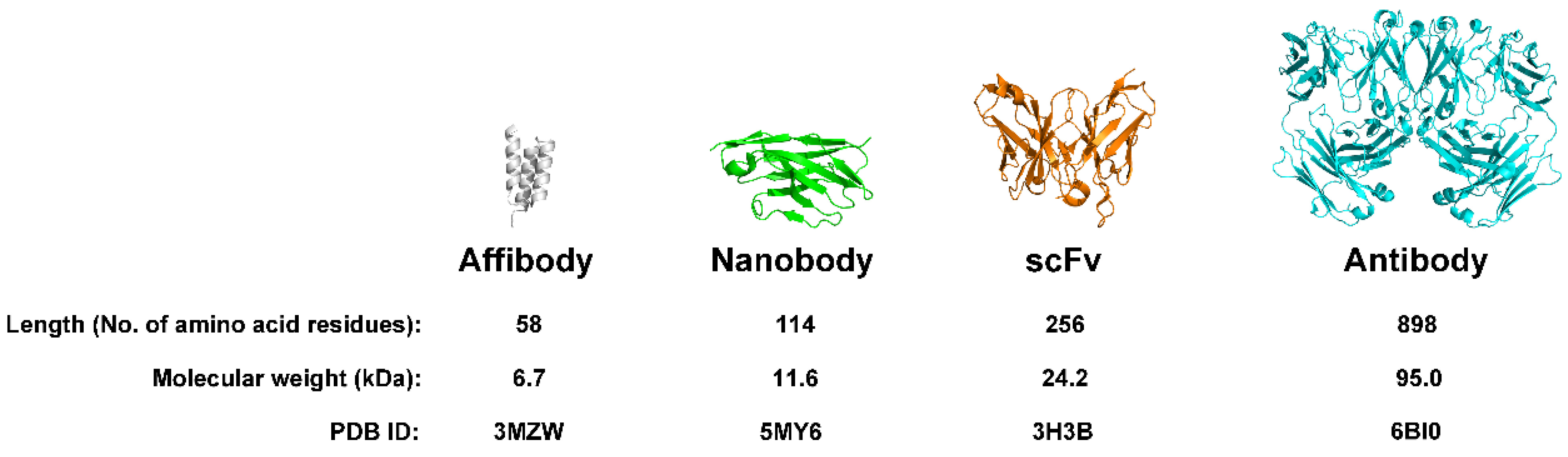 Preprints 181147 g001