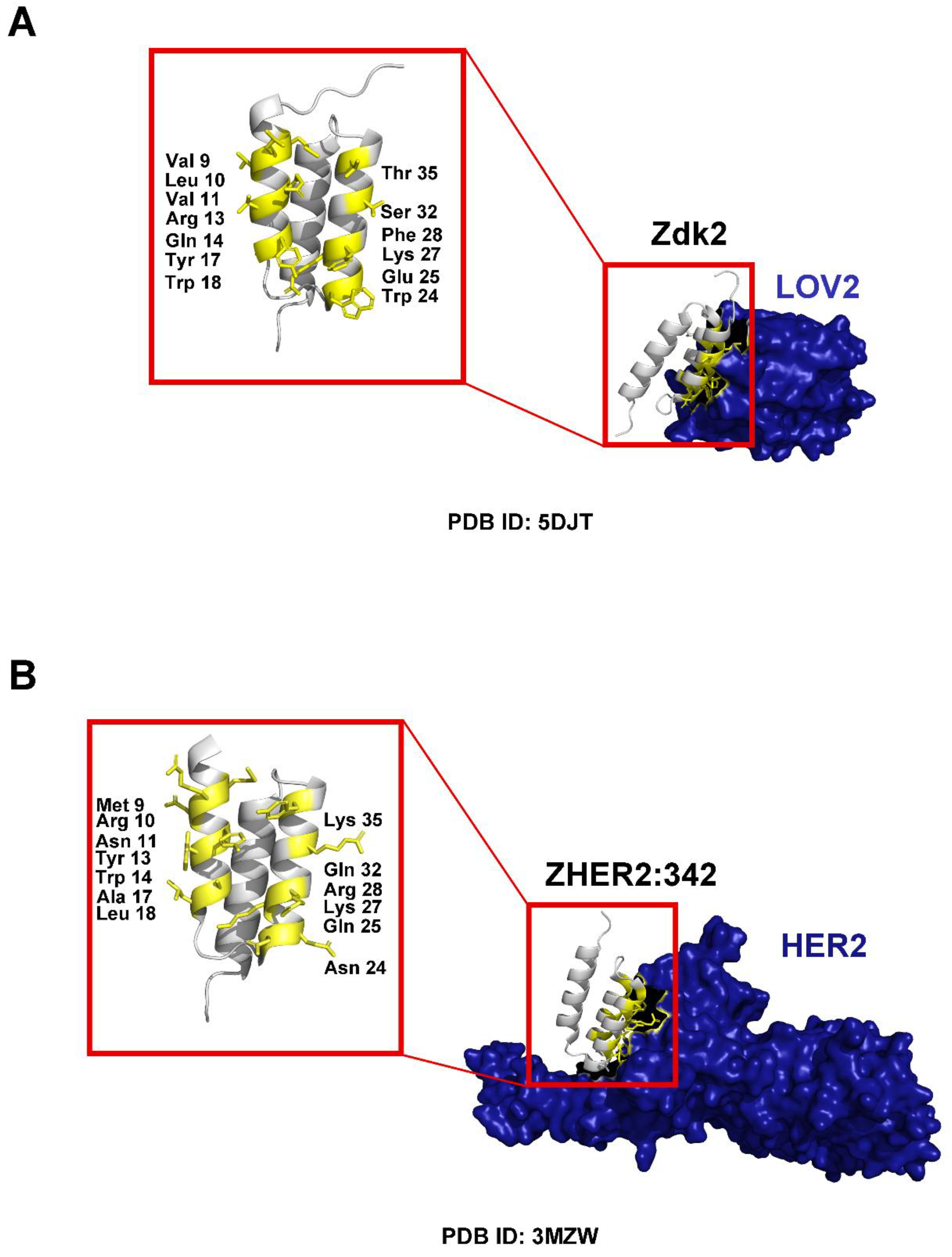 Preprints 181147 g003