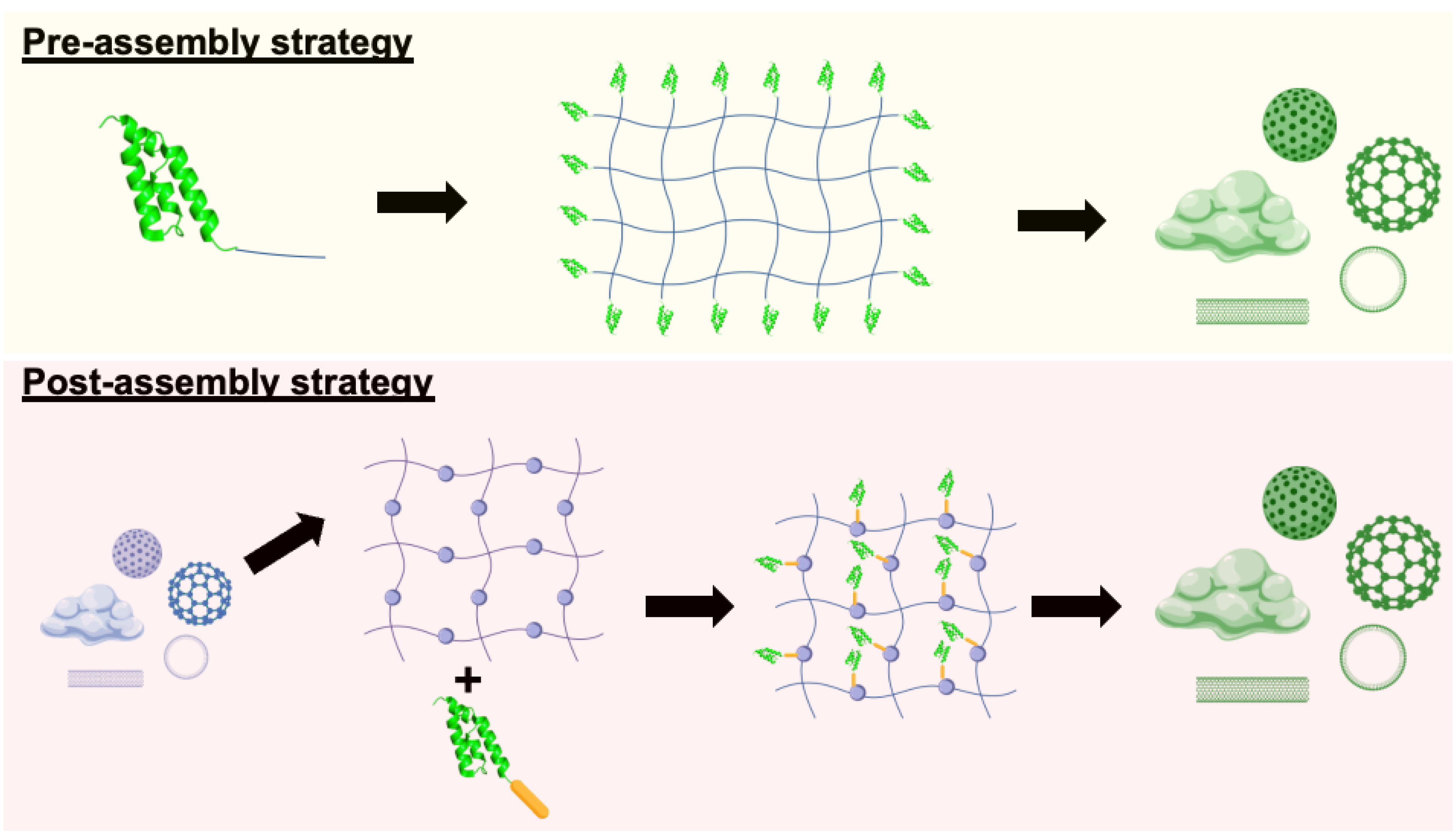 Preprints 181147 g004