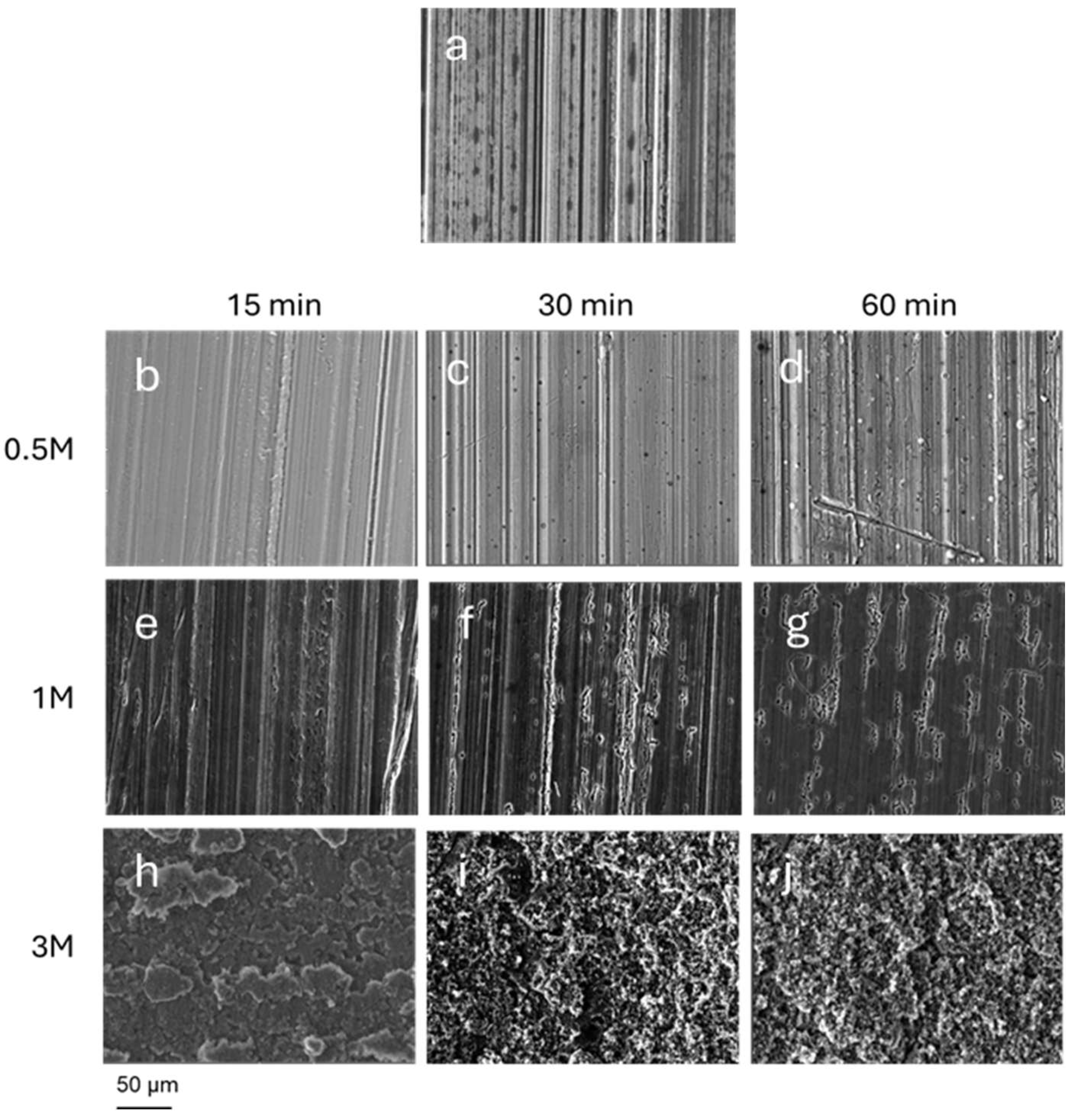 Preprints 178964 g001