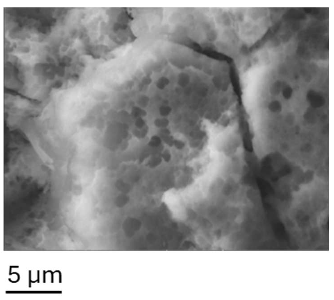 Preprints 178964 g002