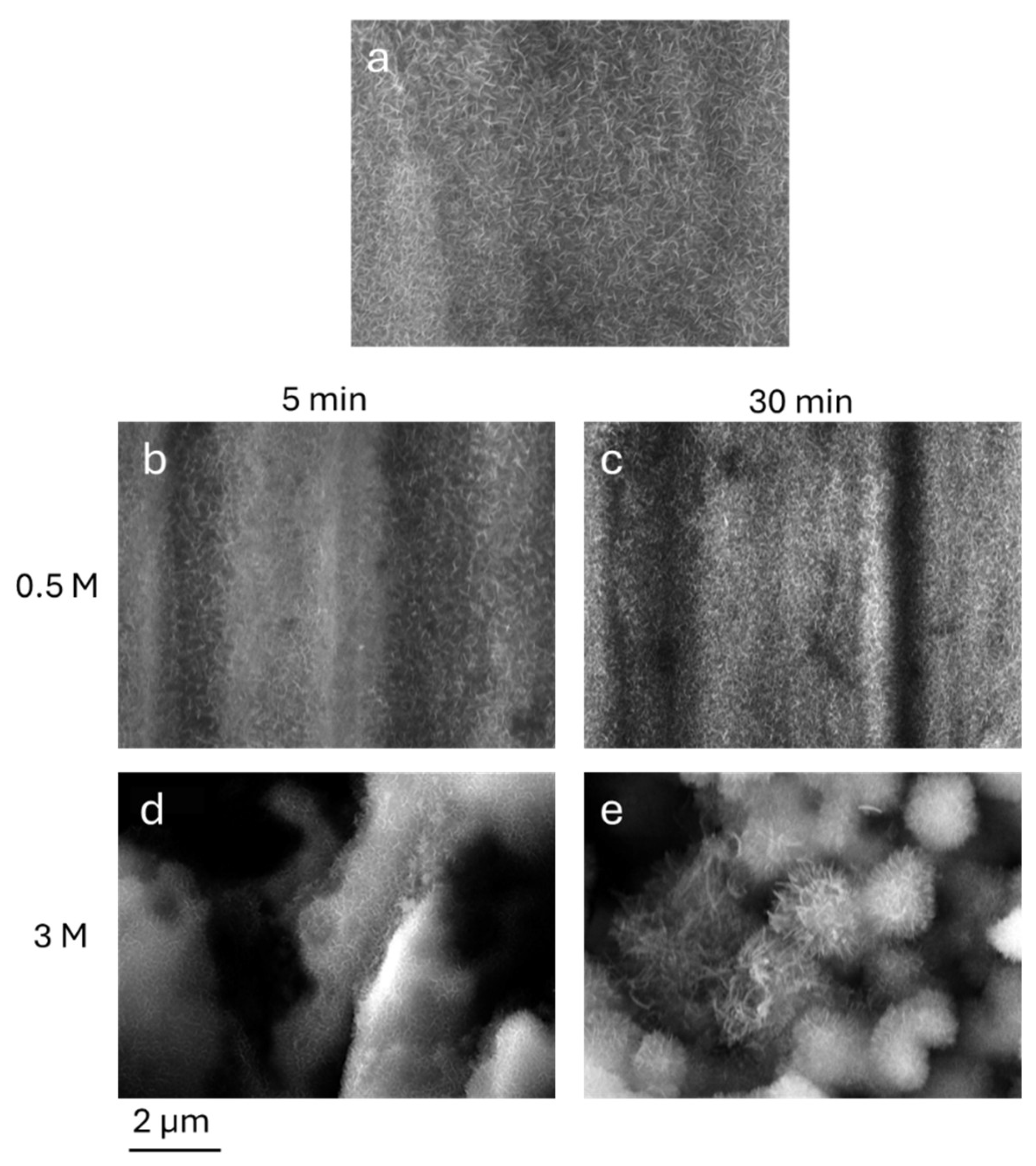 Preprints 178964 g004