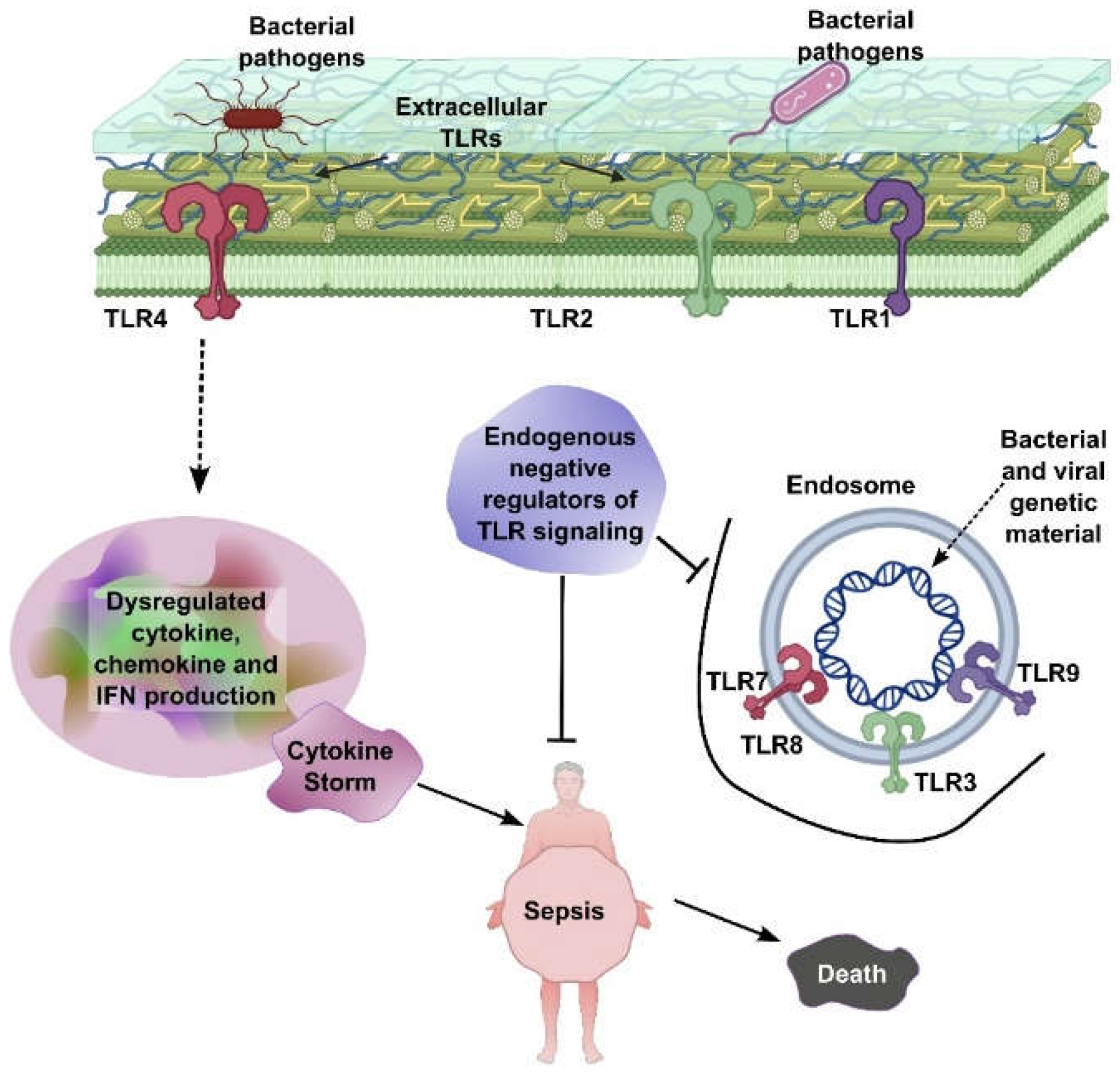 Preprints 156242 g001