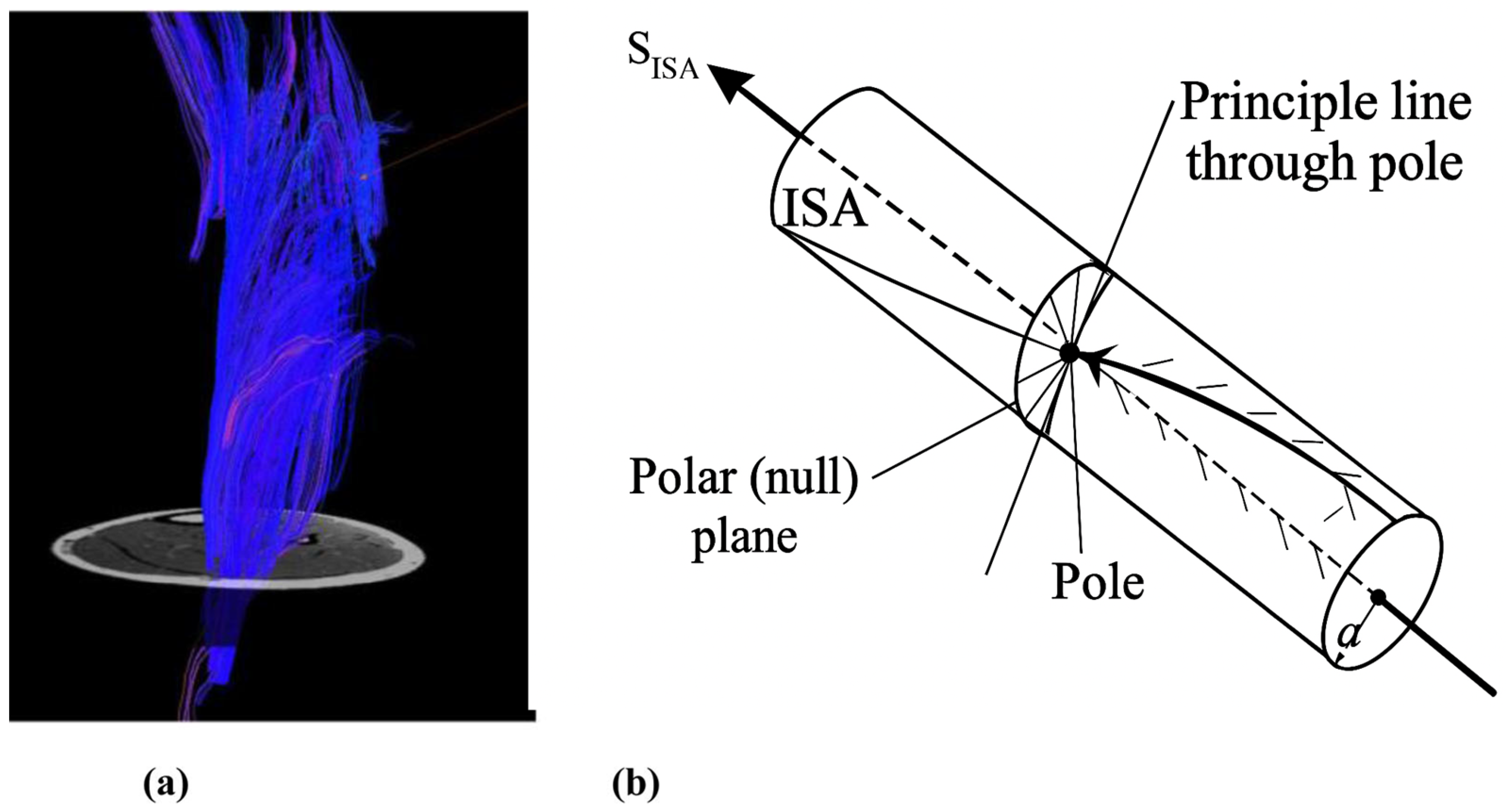 Preprints 194589 g001