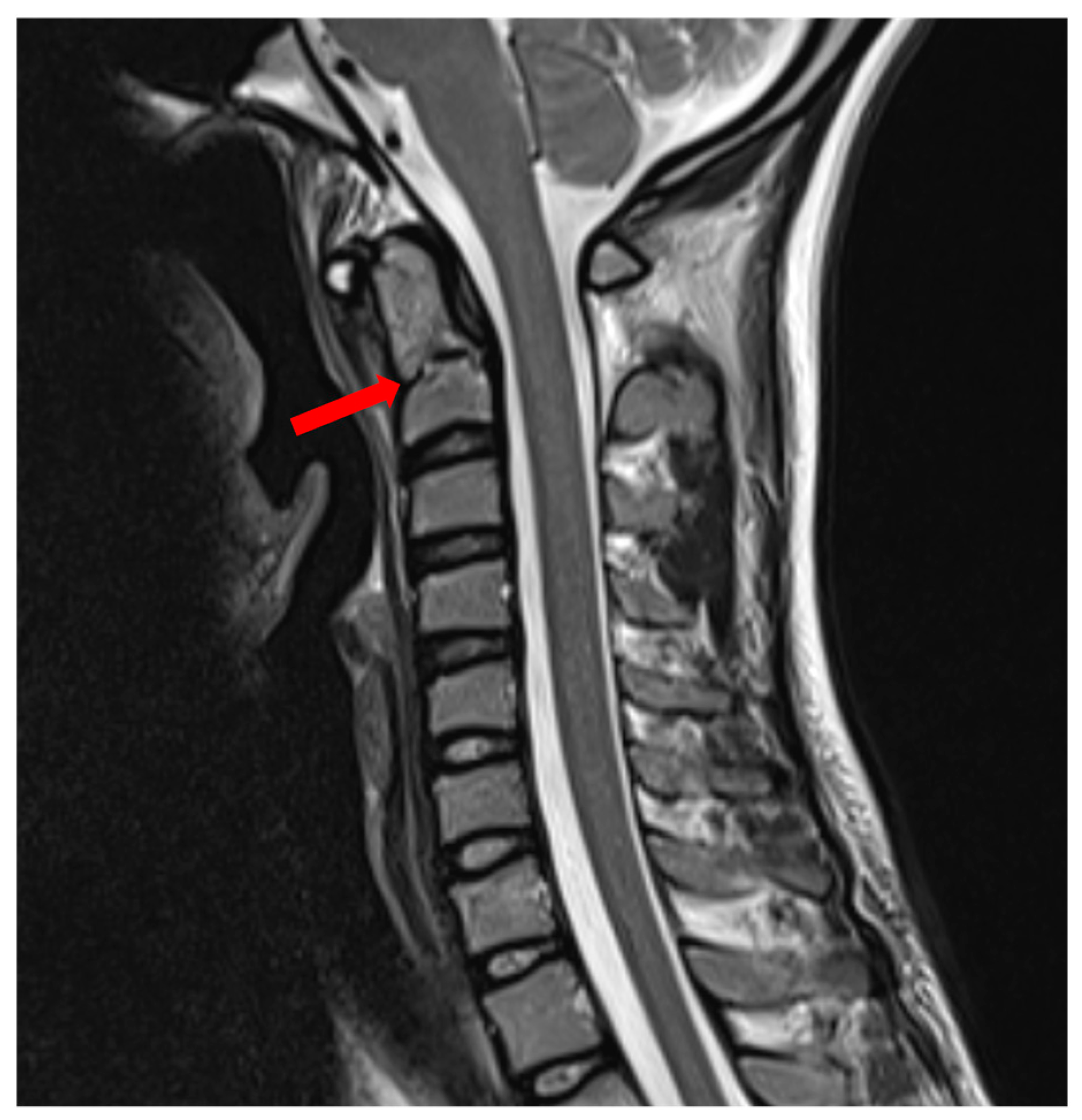 Preprints 87921 g001