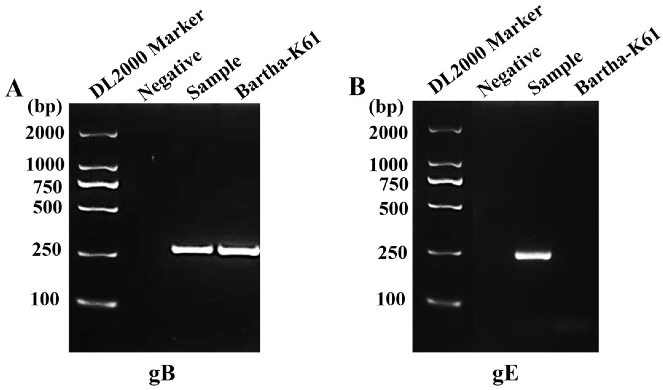 Preprints 156625 g001