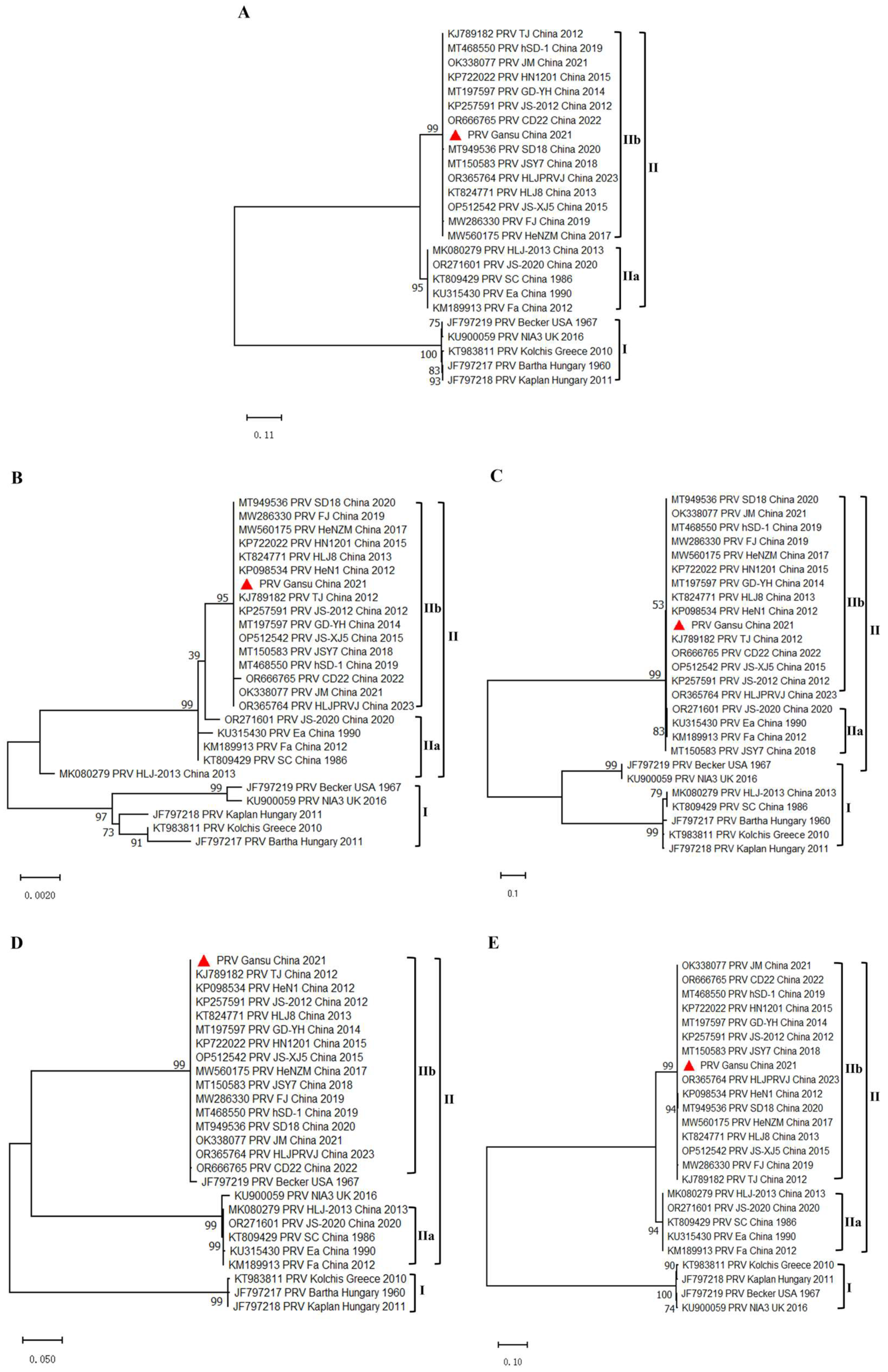 Preprints 156625 g005