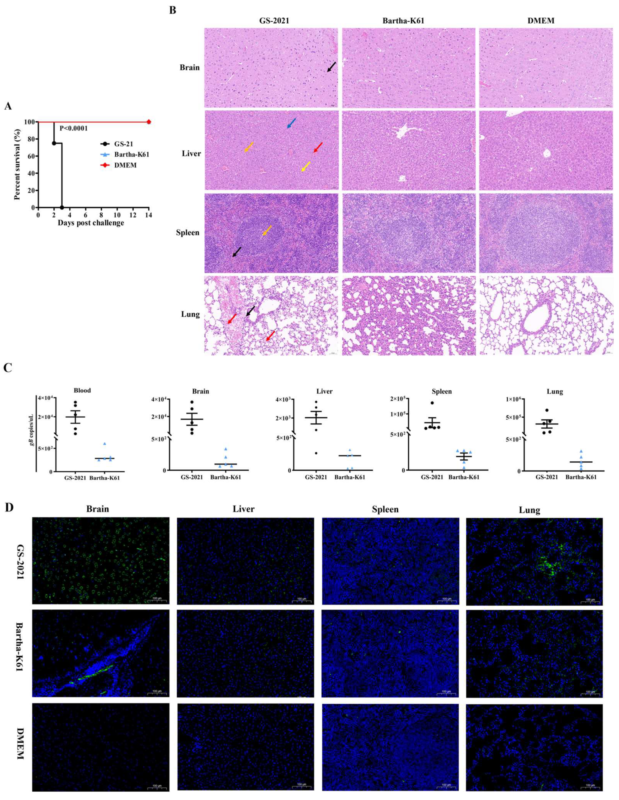 Preprints 156625 g006