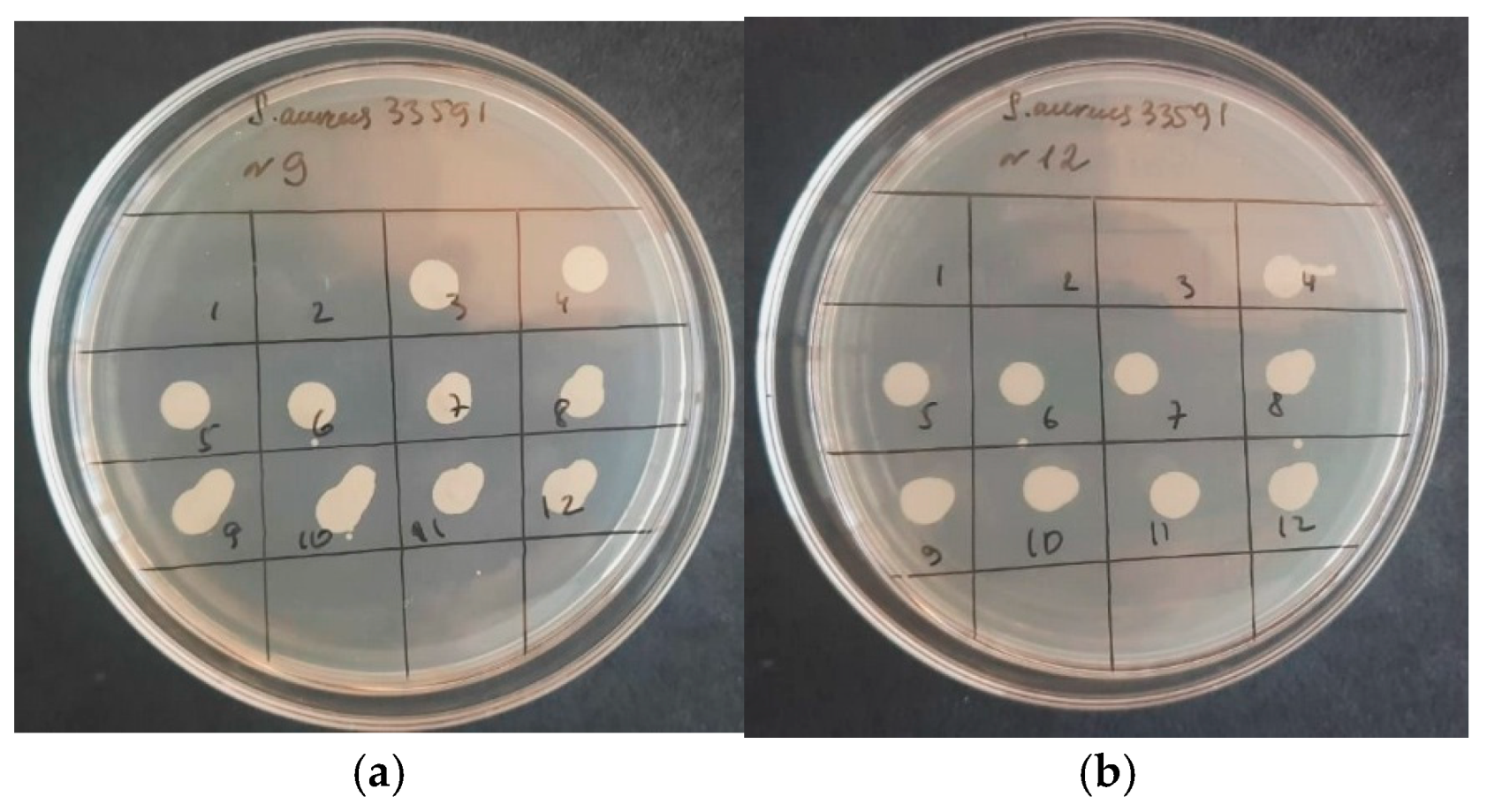 Preprints 203132 g006 Preprints 203132 g006