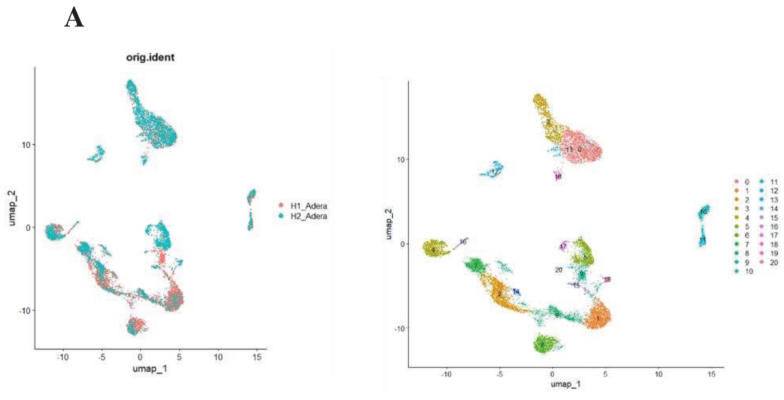 Preprints 98376 g004a
