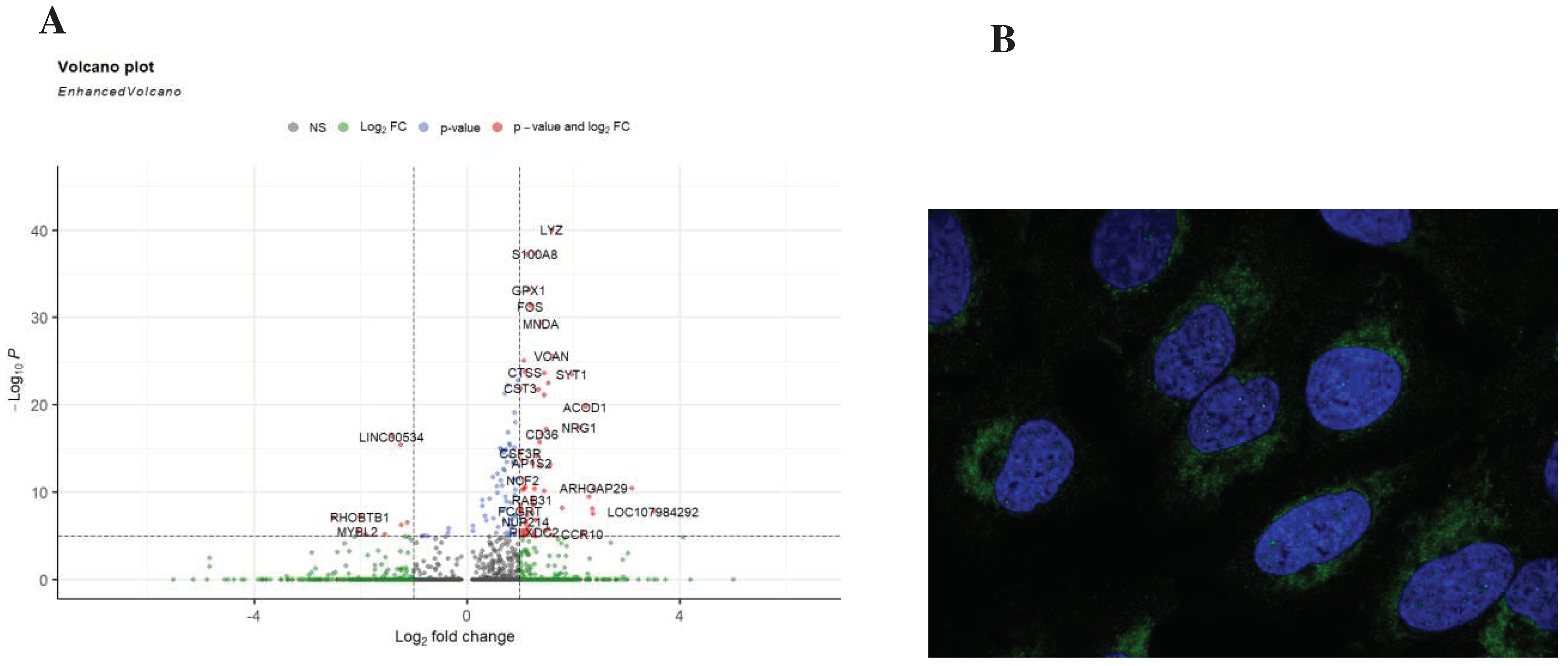 Preprints 98376 g005