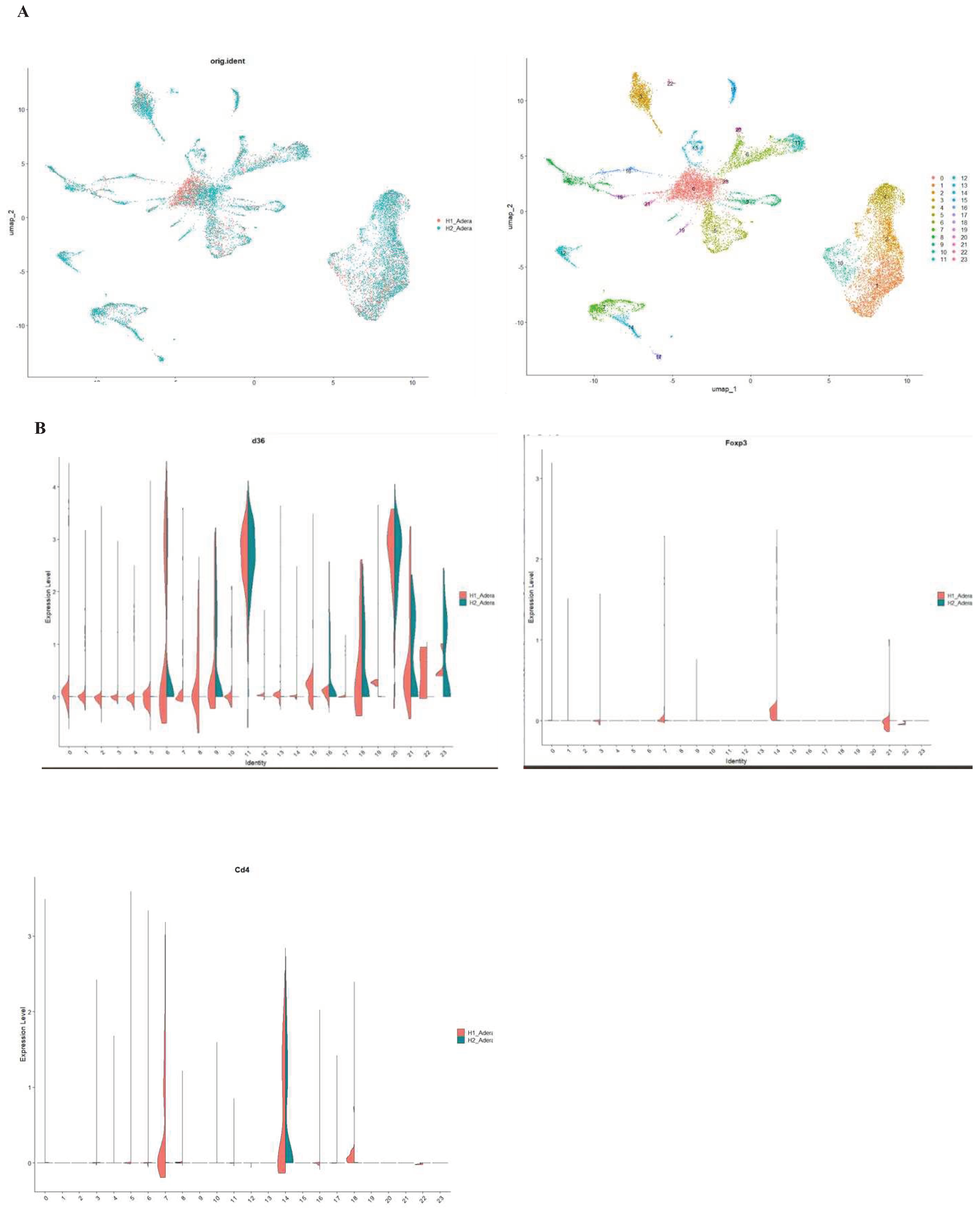 Preprints 98376 g006