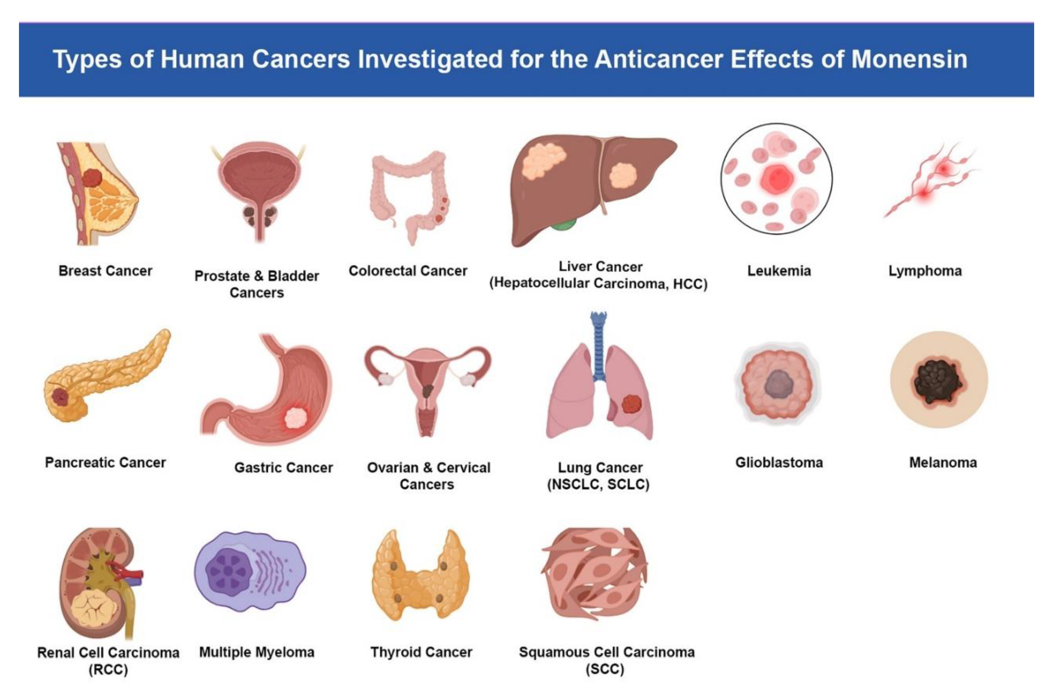 Preprints 177638 g001