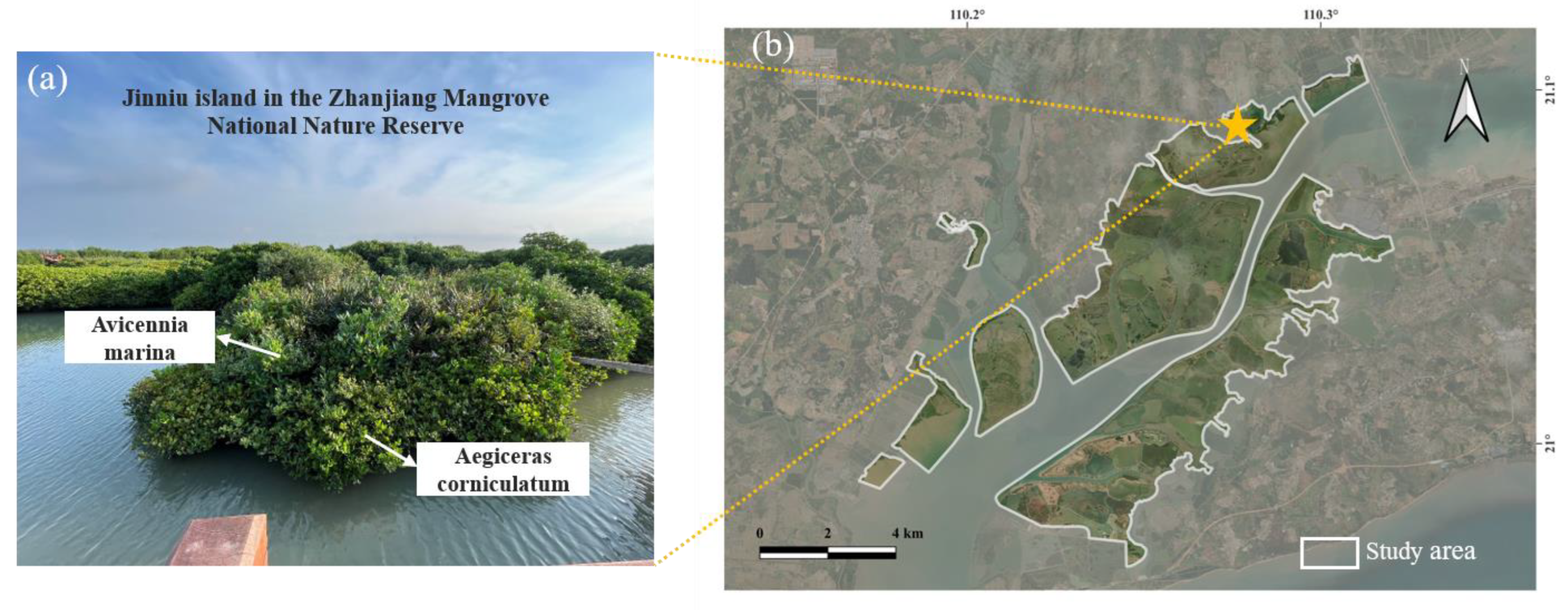 Preprints 149367 g007