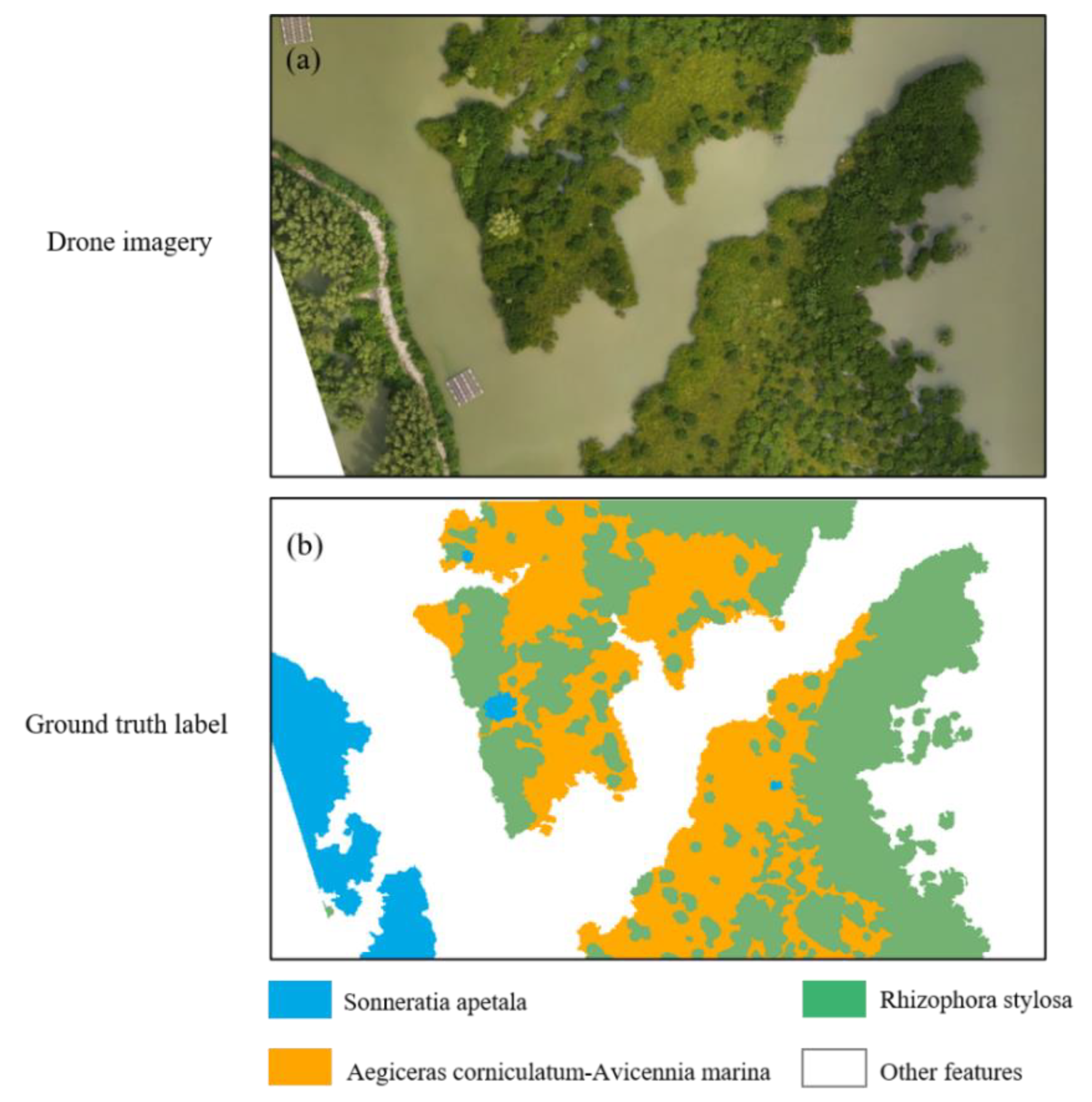Preprints 149367 g008
