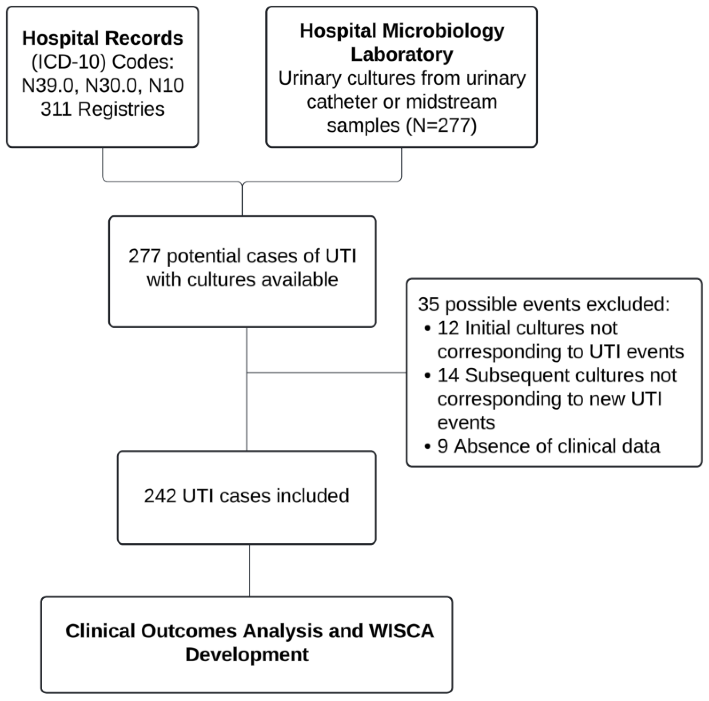 Preprints 145974 g001