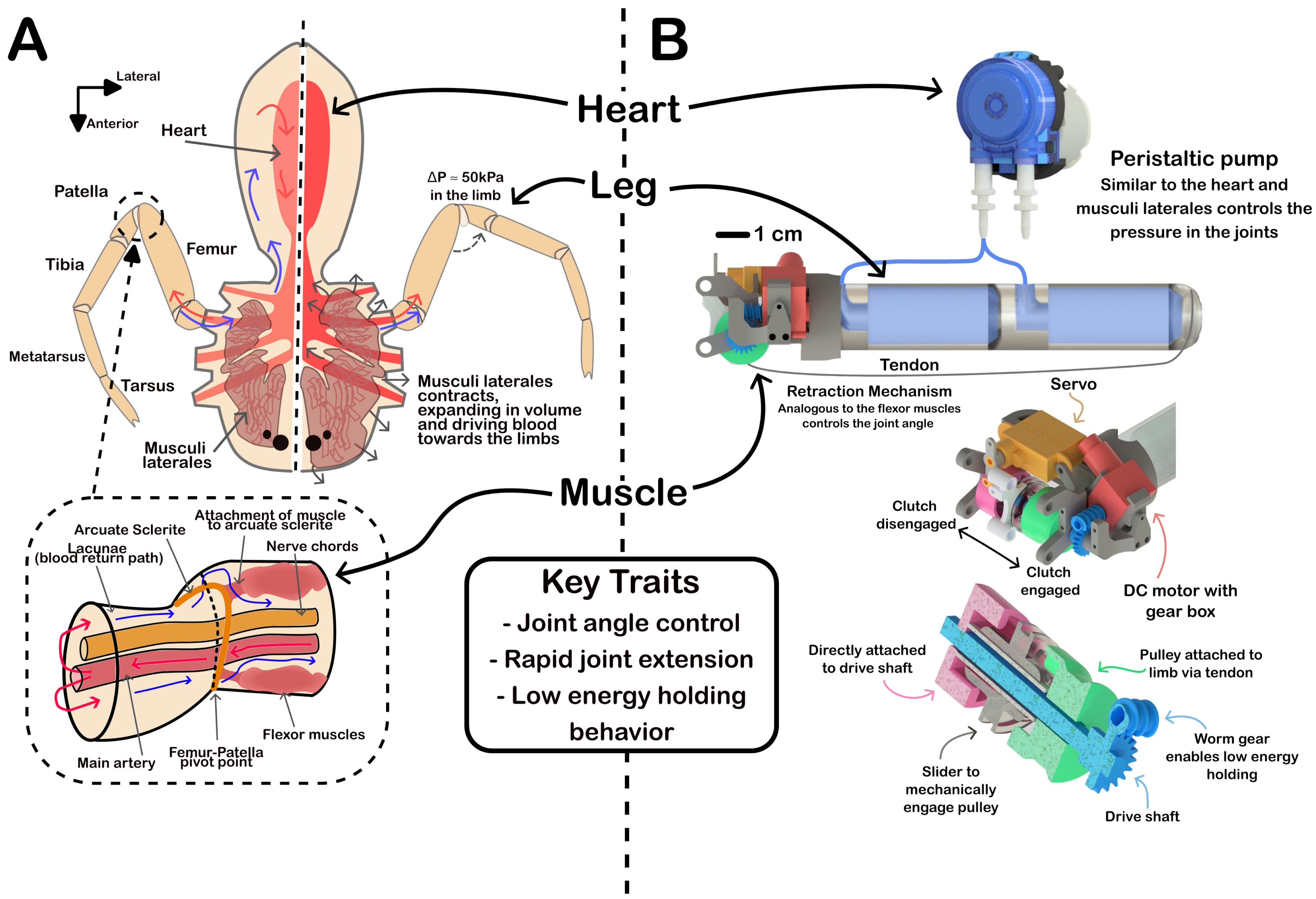 Preprints 162174 g001